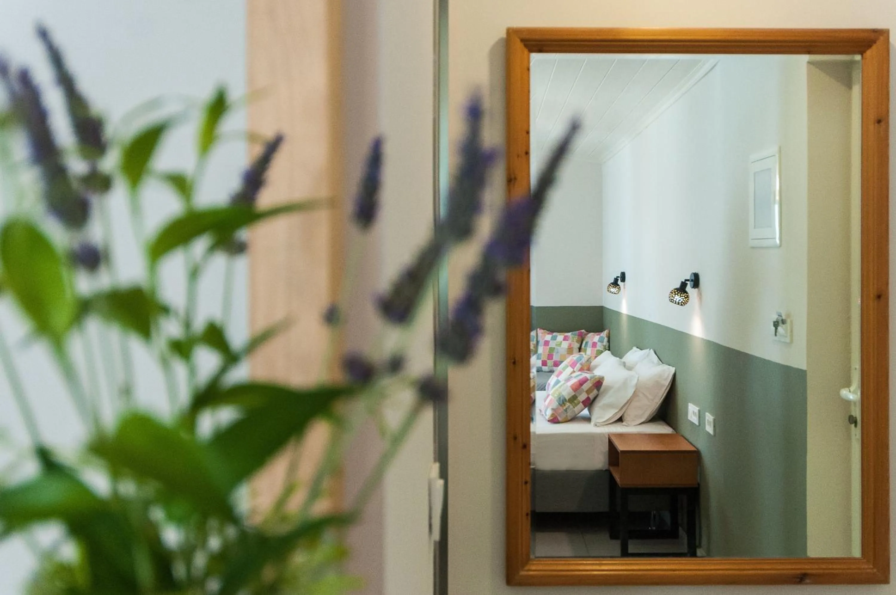 Property building in Mimoza Beach