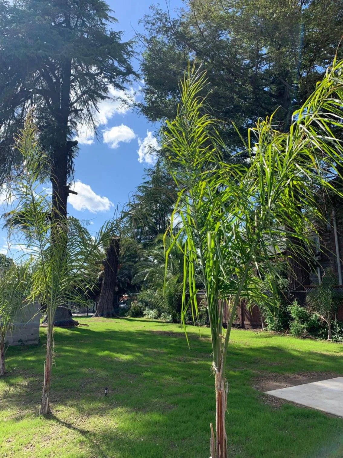 The Greens Hotel on Stockton