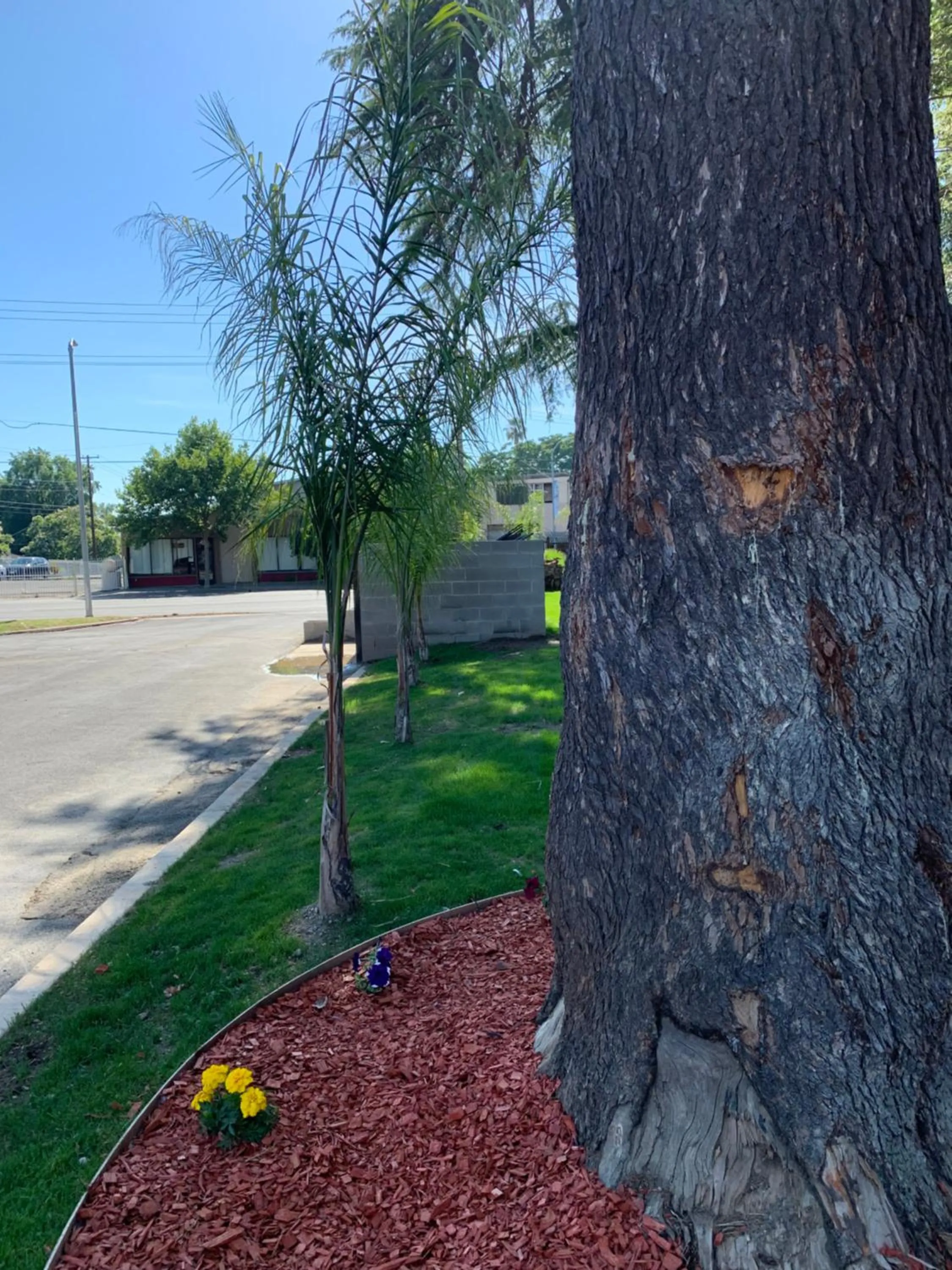 The Greens Hotel on Stockton