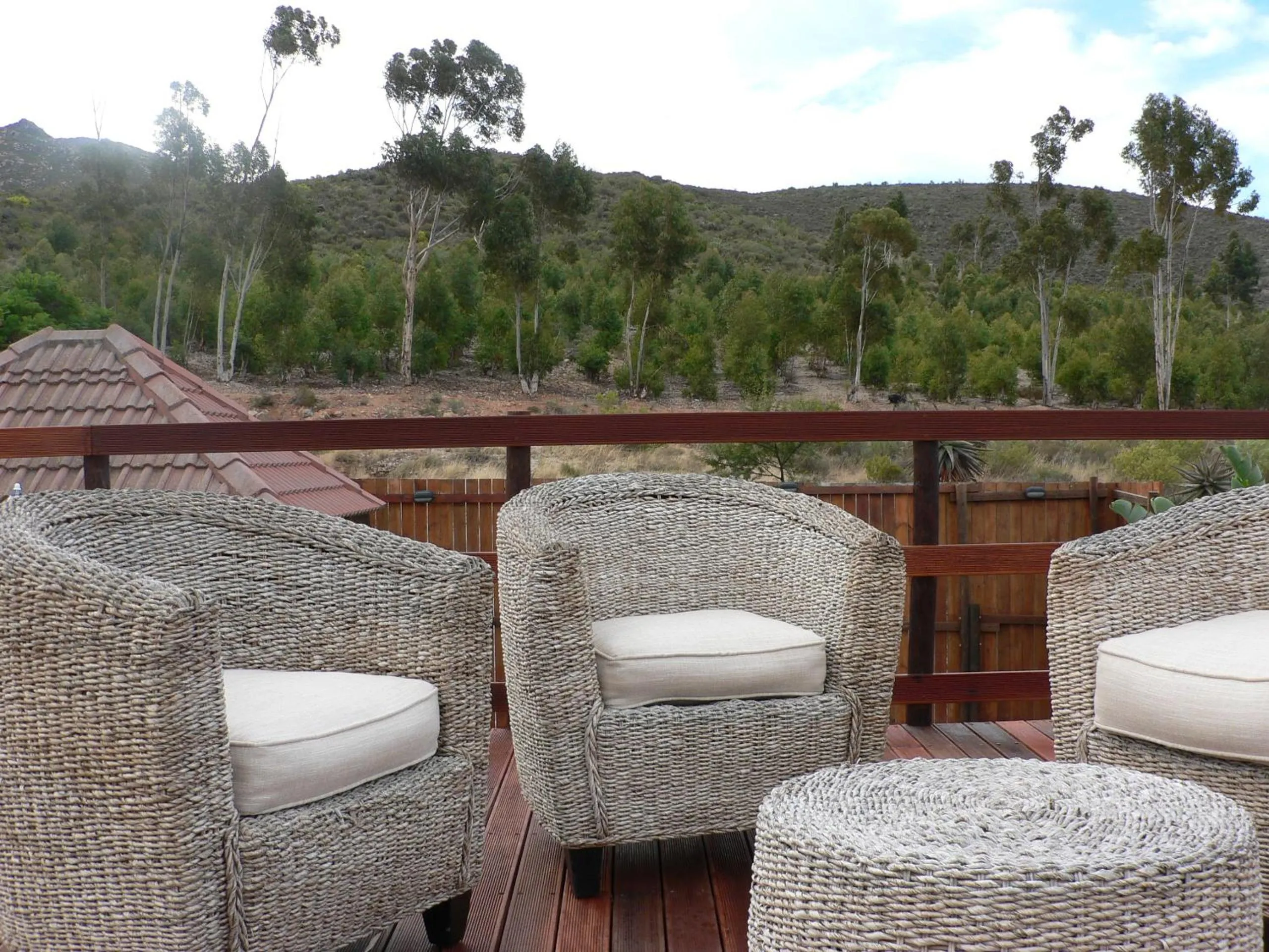 View (from property/room) in Mountain View Eco Lodge Montagu