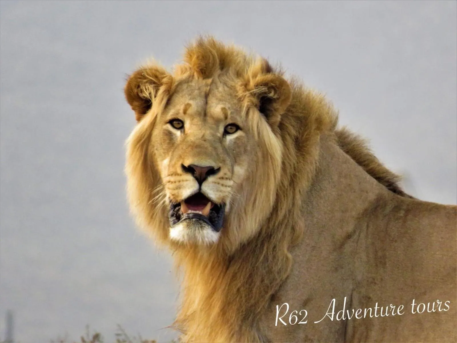 Activities in Mountain View Eco Lodge Montagu