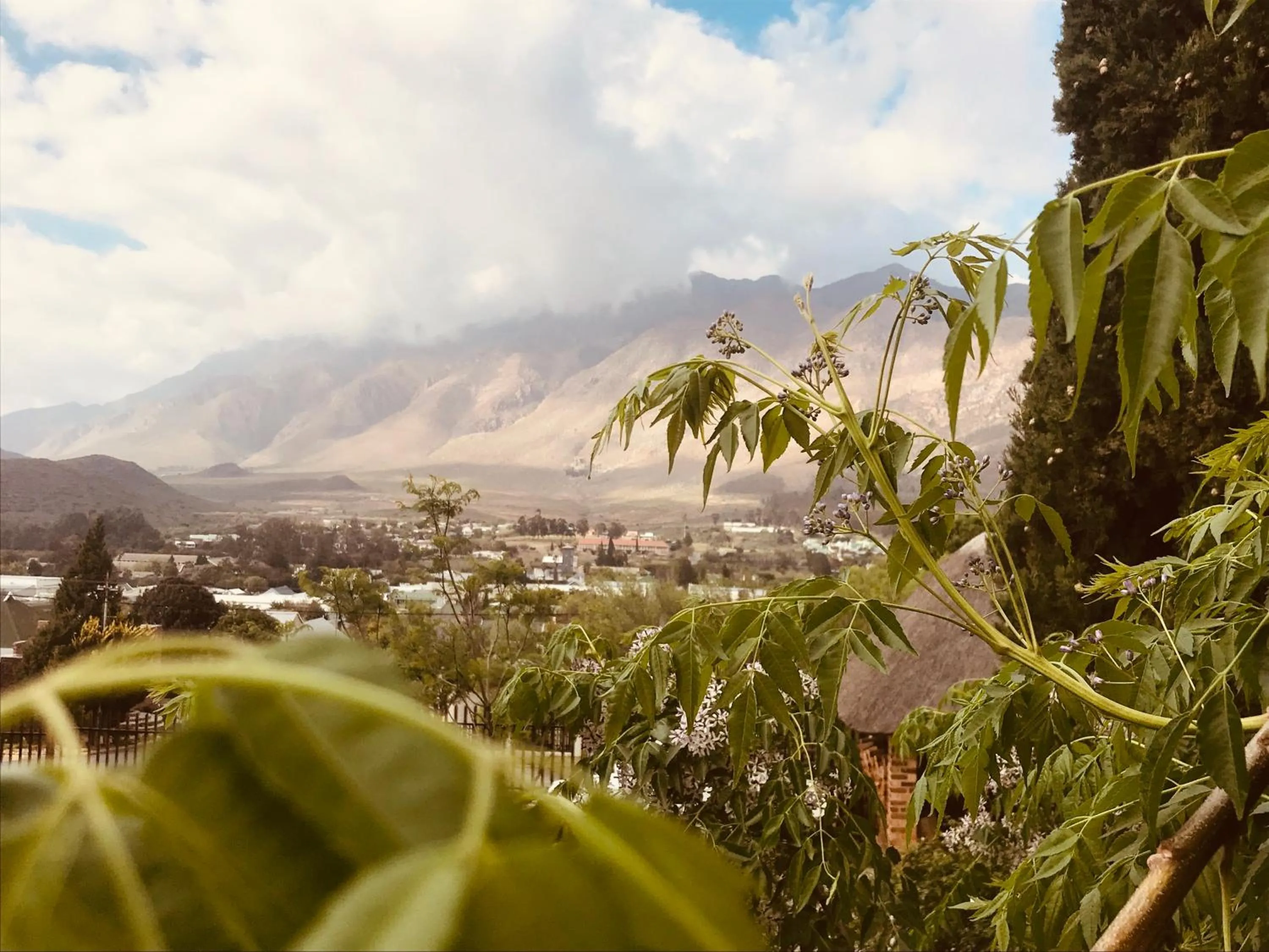 Natural landscape in Mountain View Eco Lodge Montagu