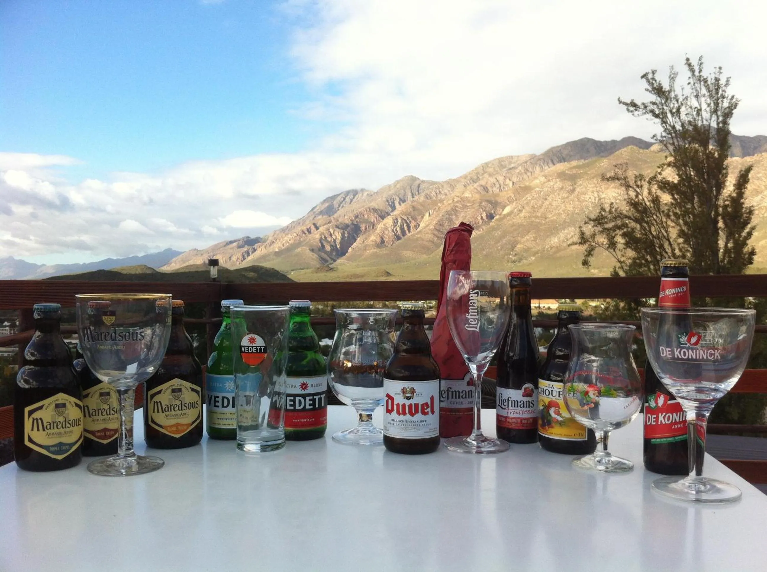 Lounge or bar in Mountain View Eco Lodge Montagu