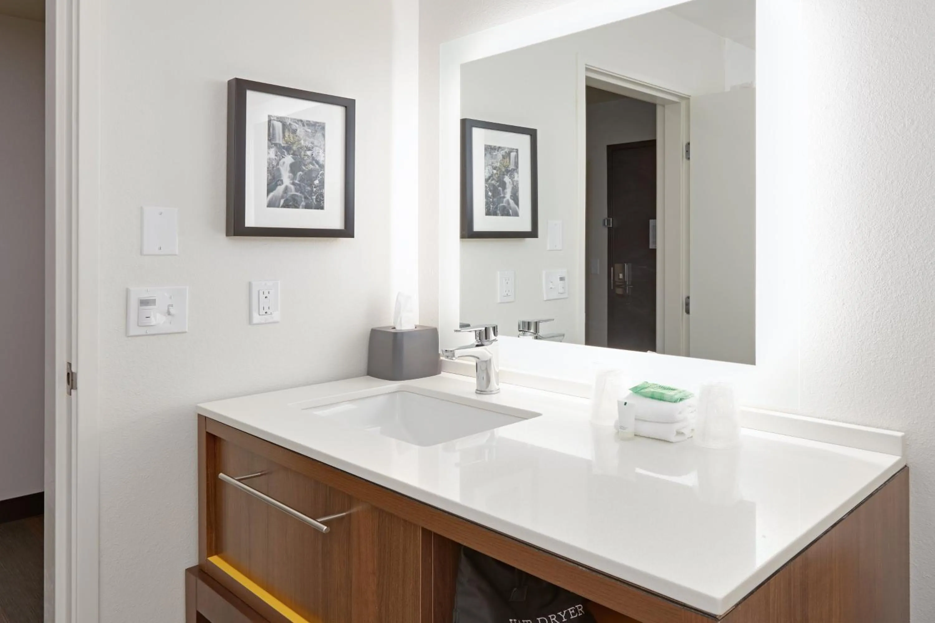 Bathroom in Holiday Inn Twin Falls by IHG