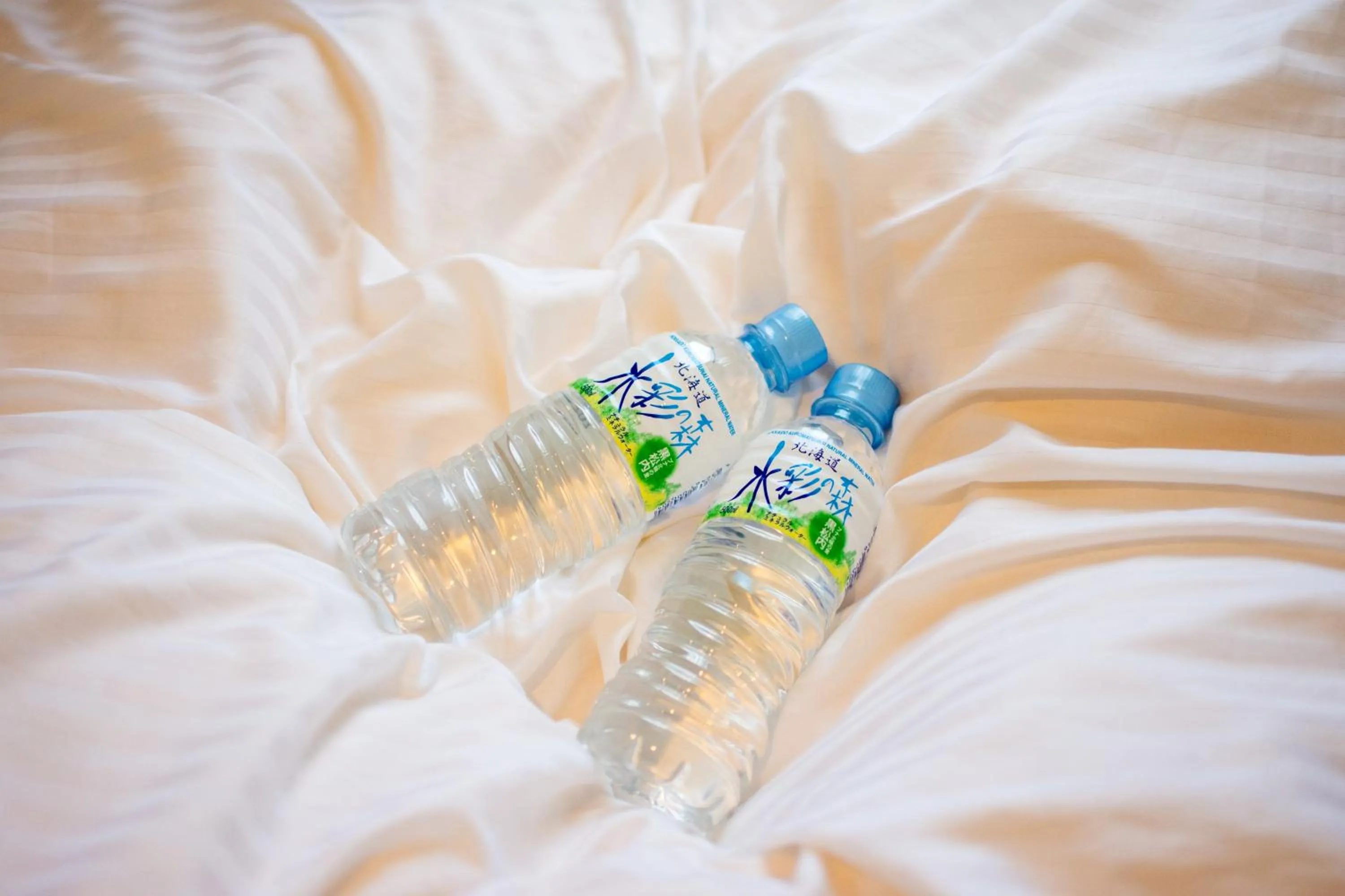 Photo of the whole room, Bed in Cozy Inn OTARU