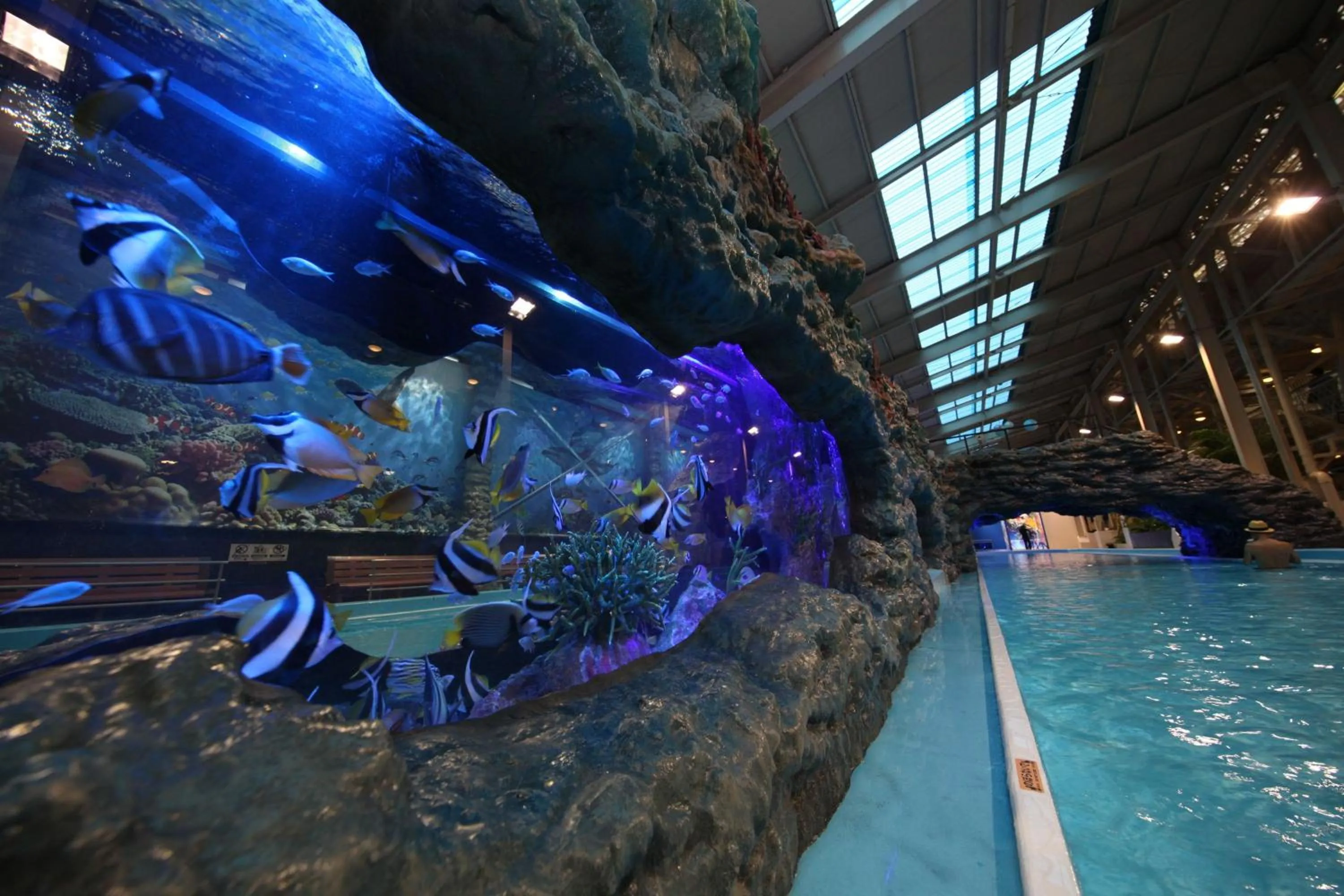 Aqua park in Spa Resort Hawaiians VIR Port