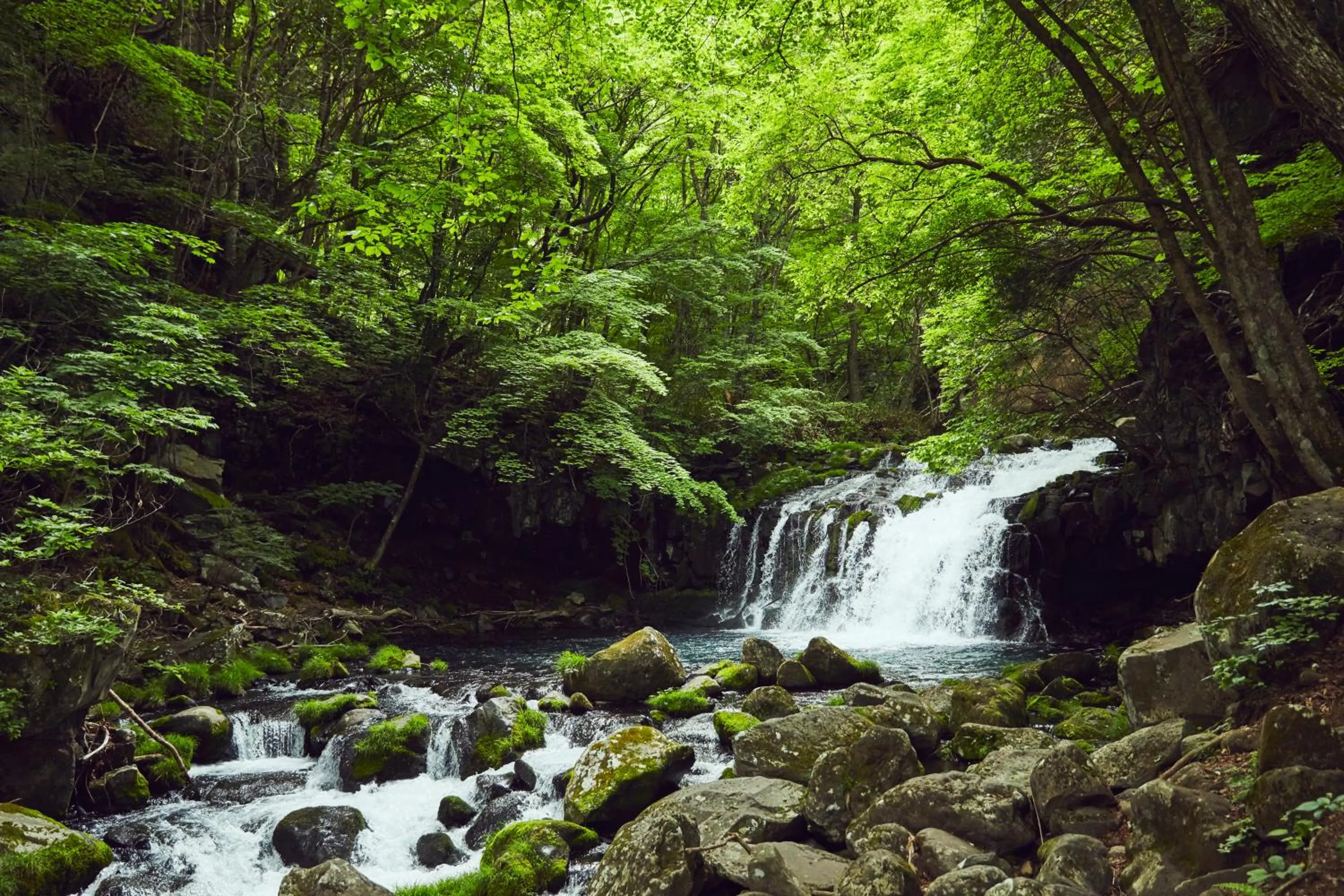 Nearby landmark in Tateshina Shinyu Onsen