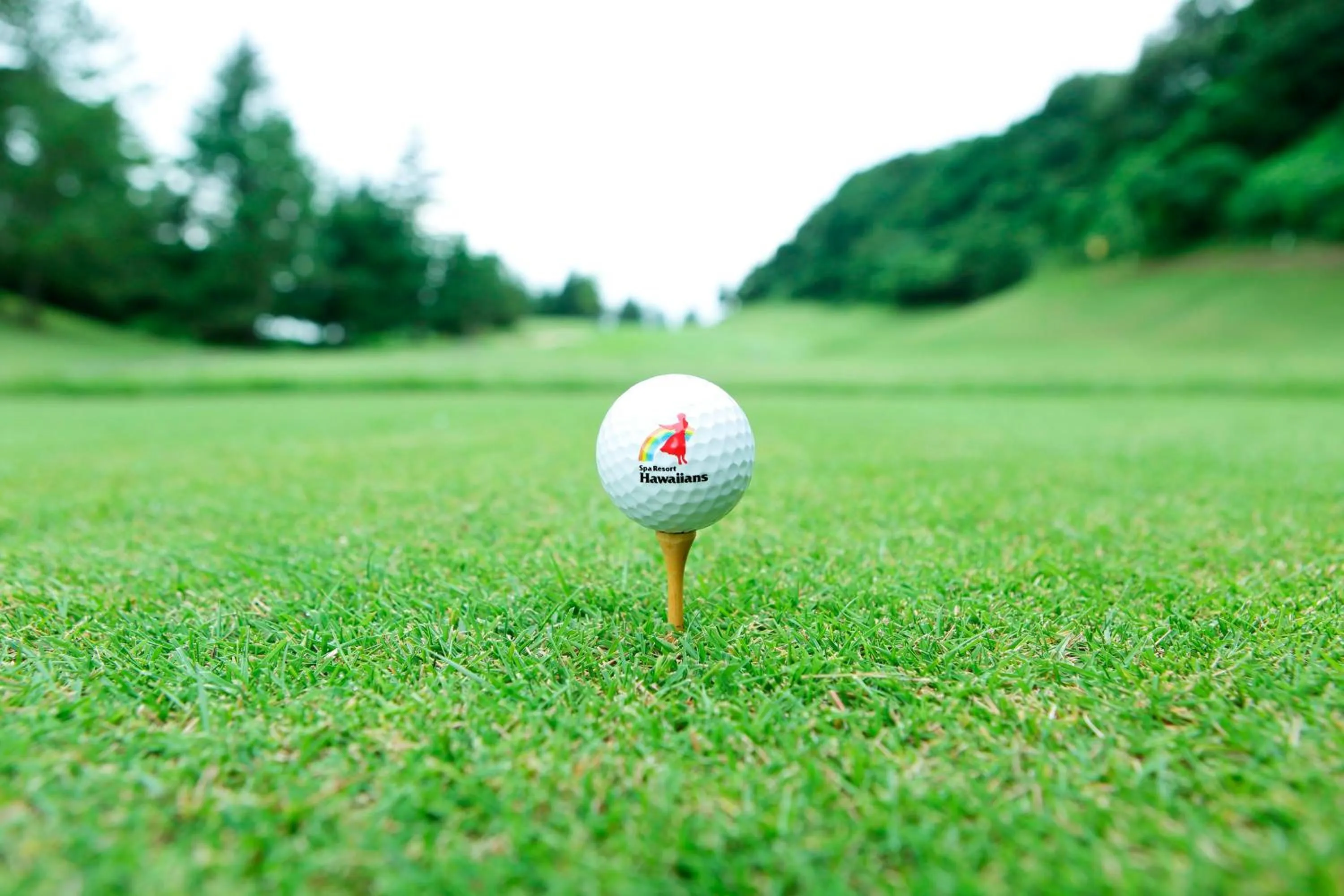 Golfcourse in Spa Resort Hawaiians Monolith Tower