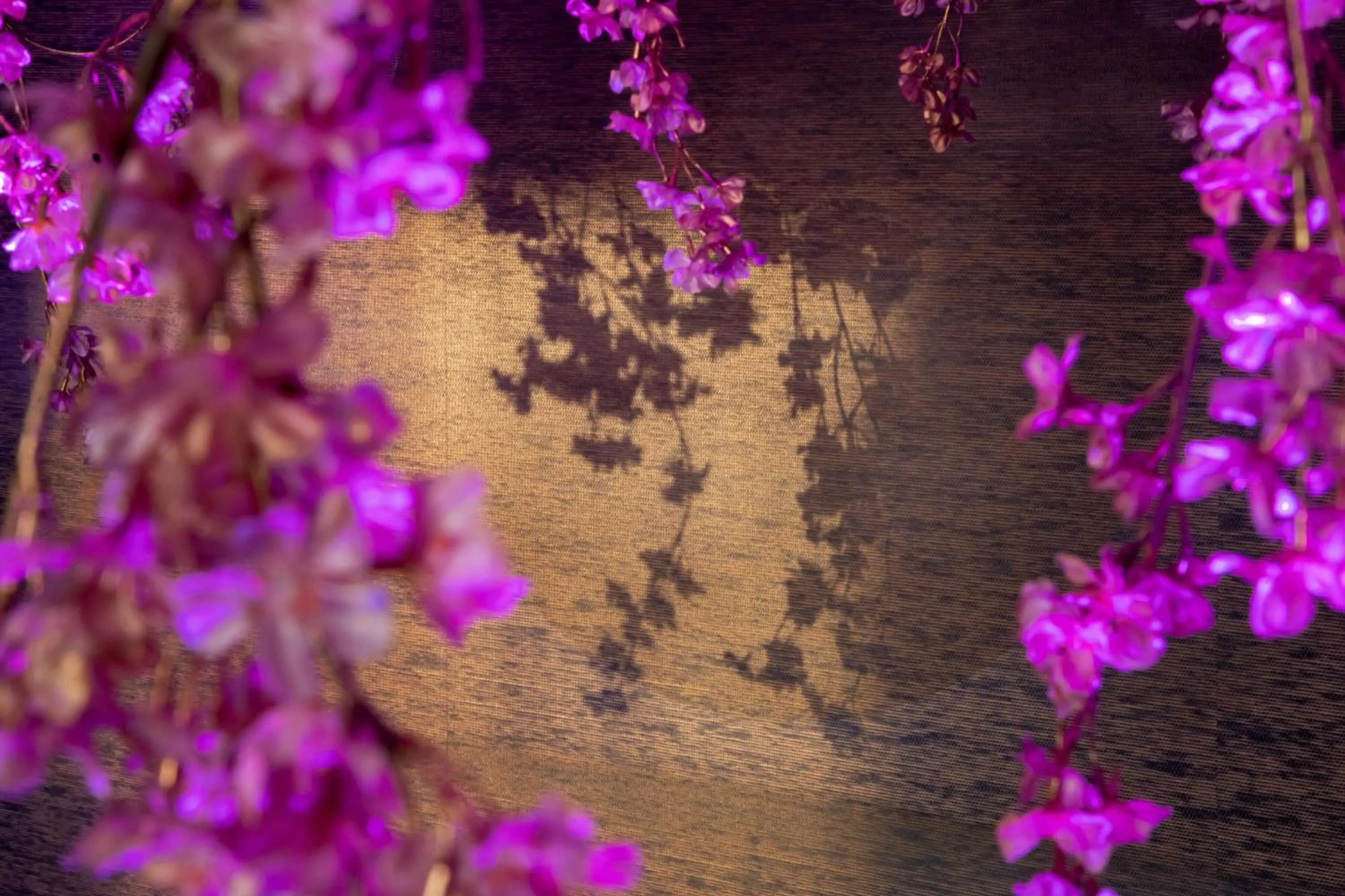 Lobby or reception in Kamisuwa Onsen Shinyu