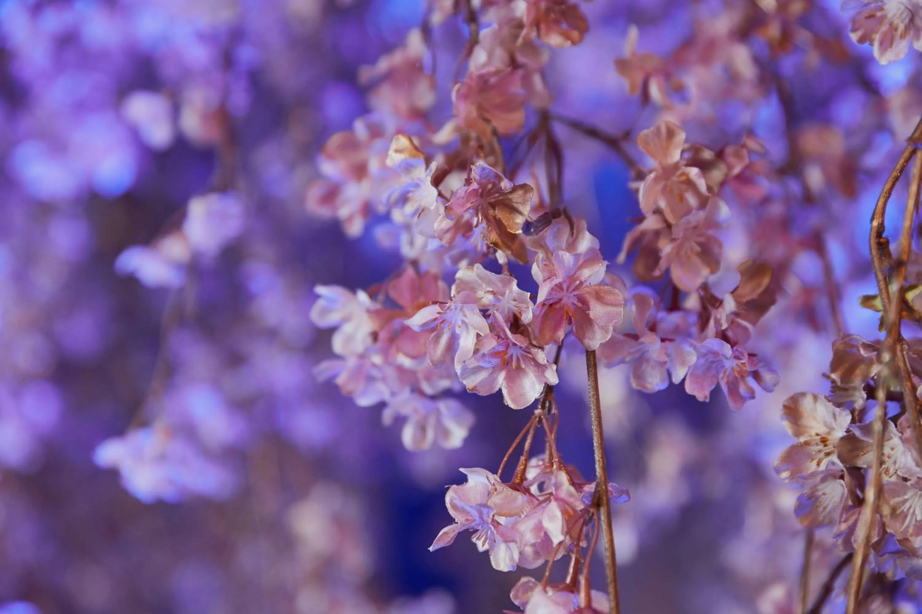 Lobby or reception in Kamisuwa Onsen Shinyu