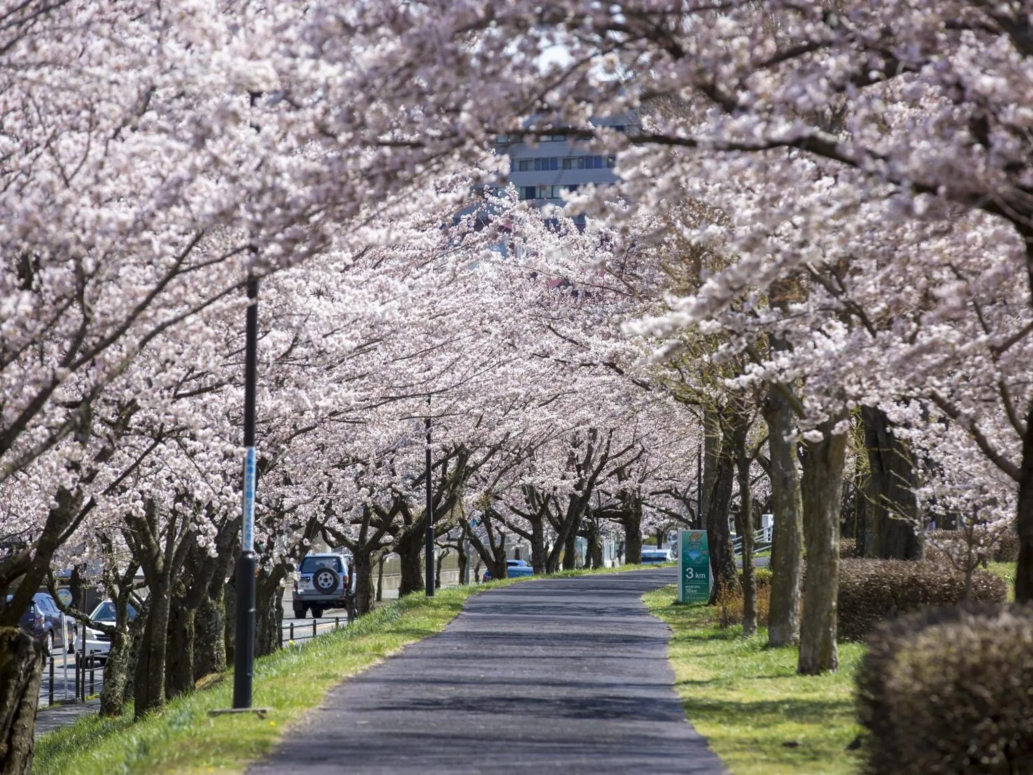 Nearby landmark in Kamisuwa Onsen Shinyu