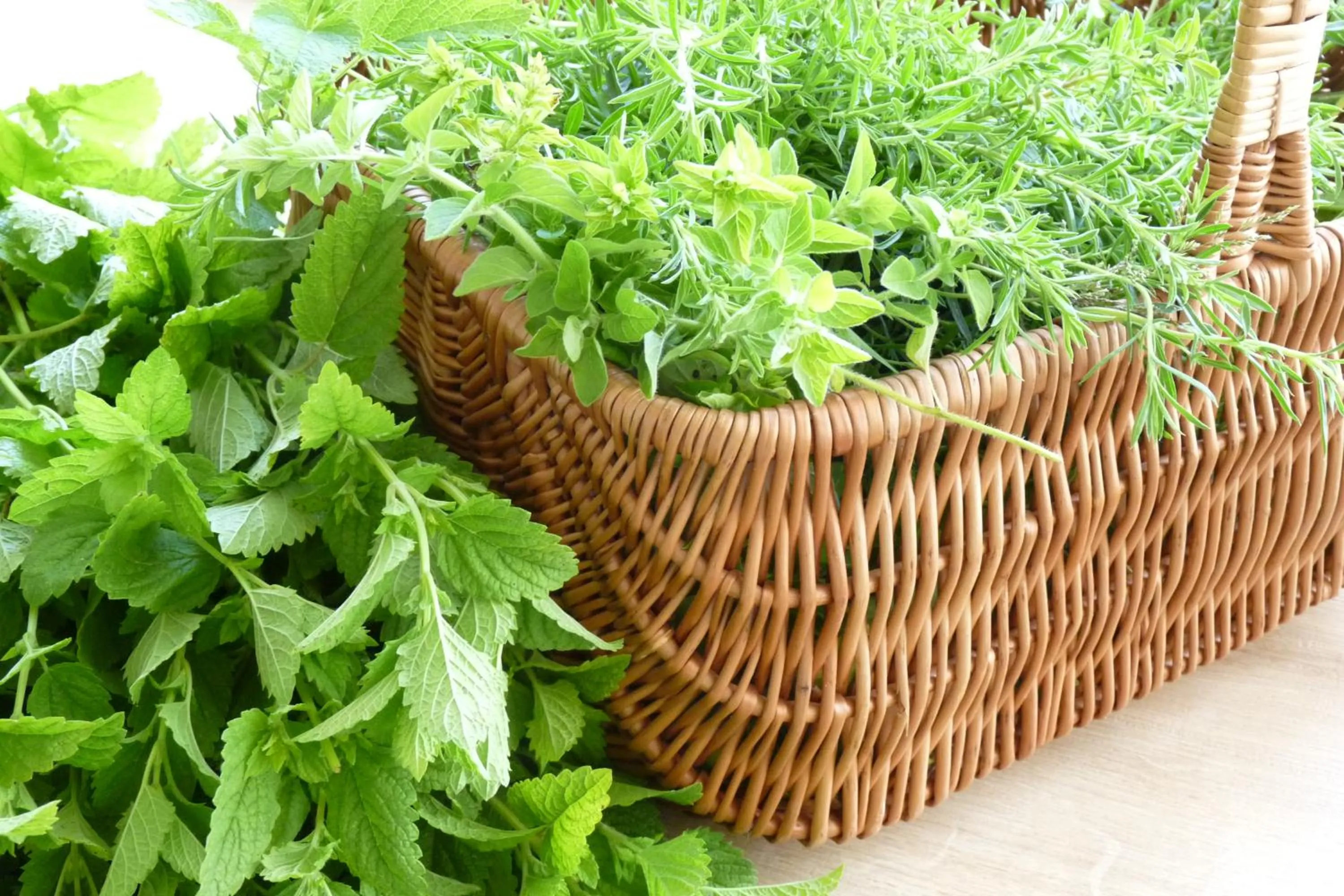 Other in Hotel Zwei Mohren