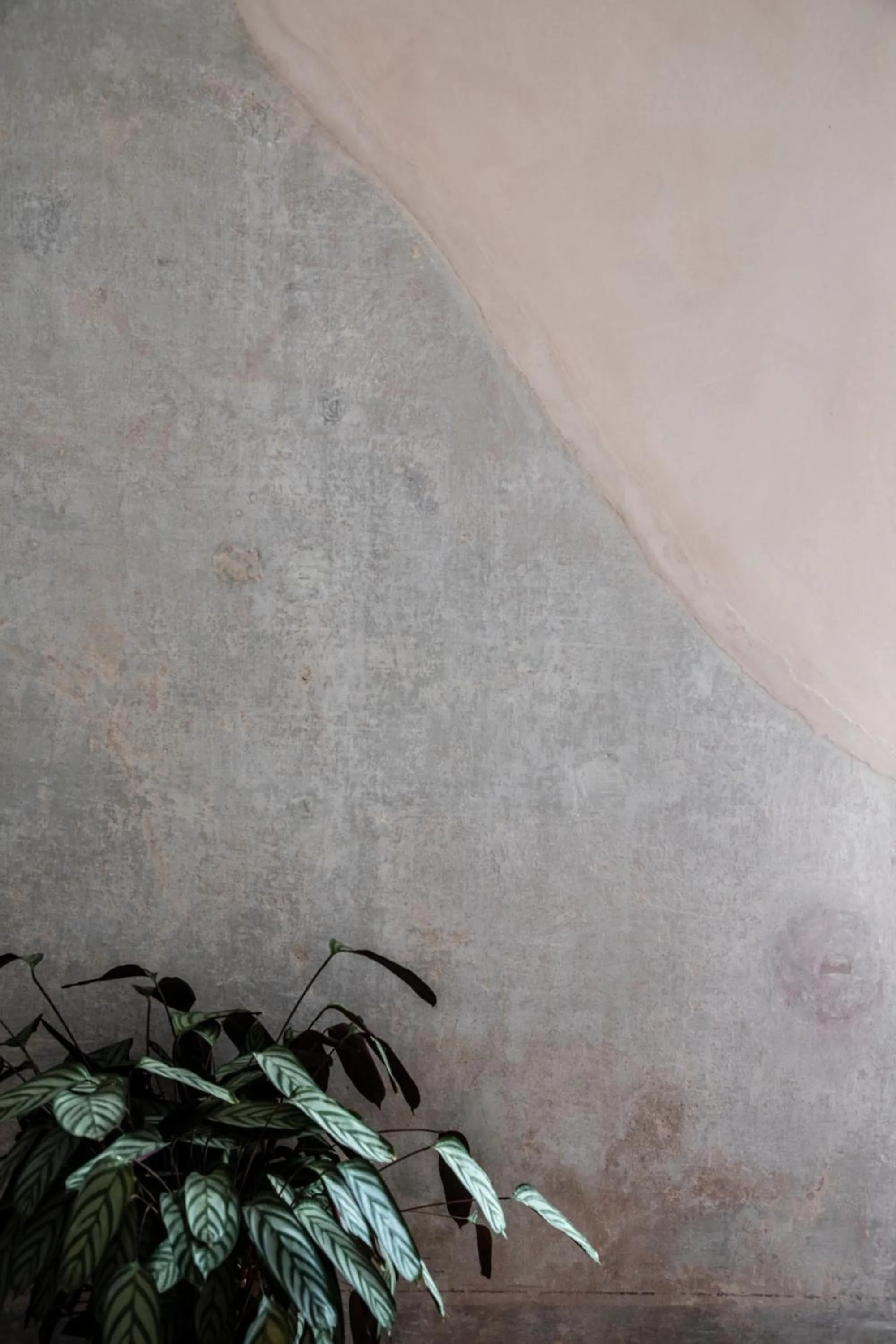 Decorative detail in Monsieur Didot