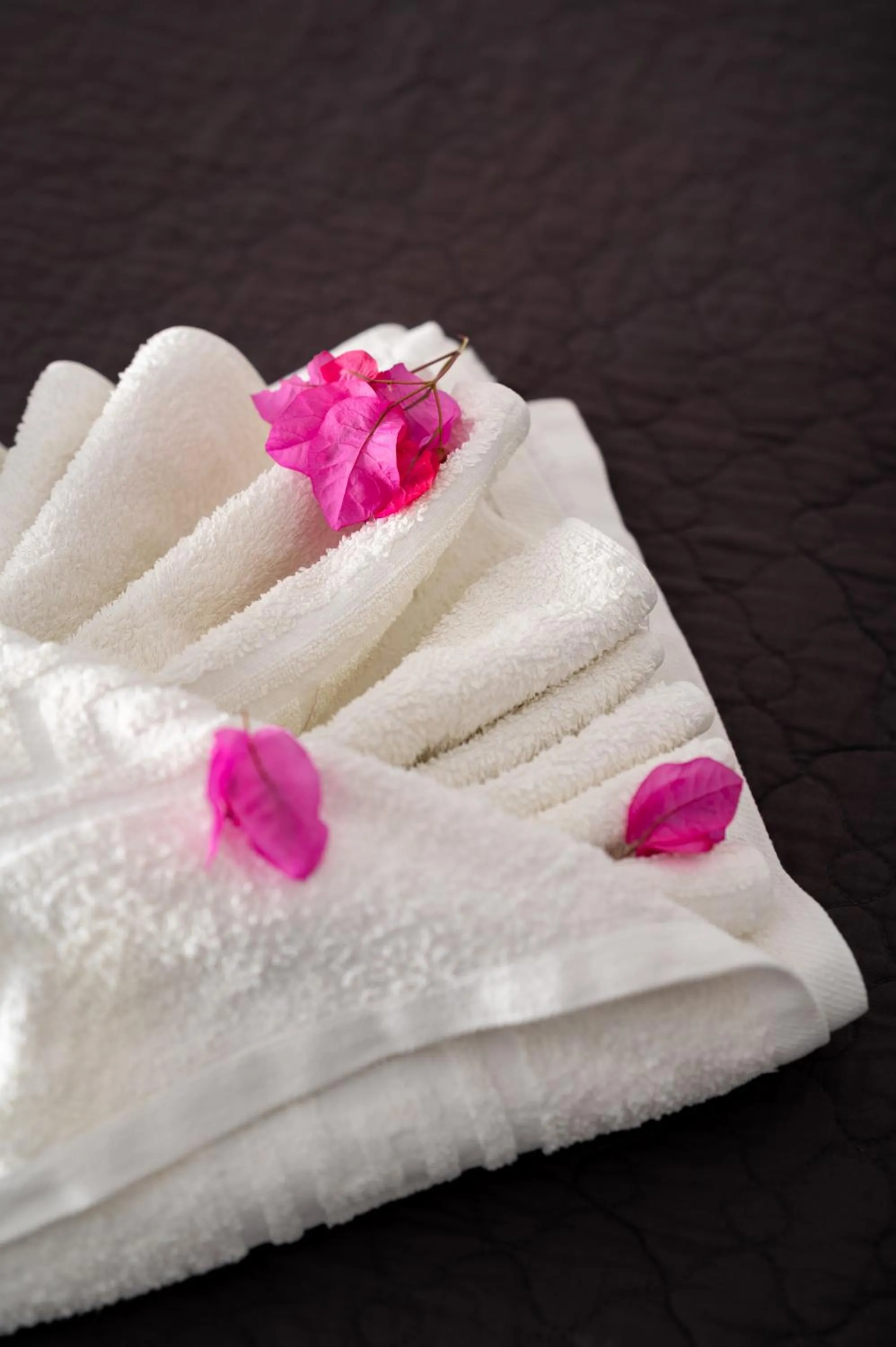 Bed in Villa Anemomilos Perissa