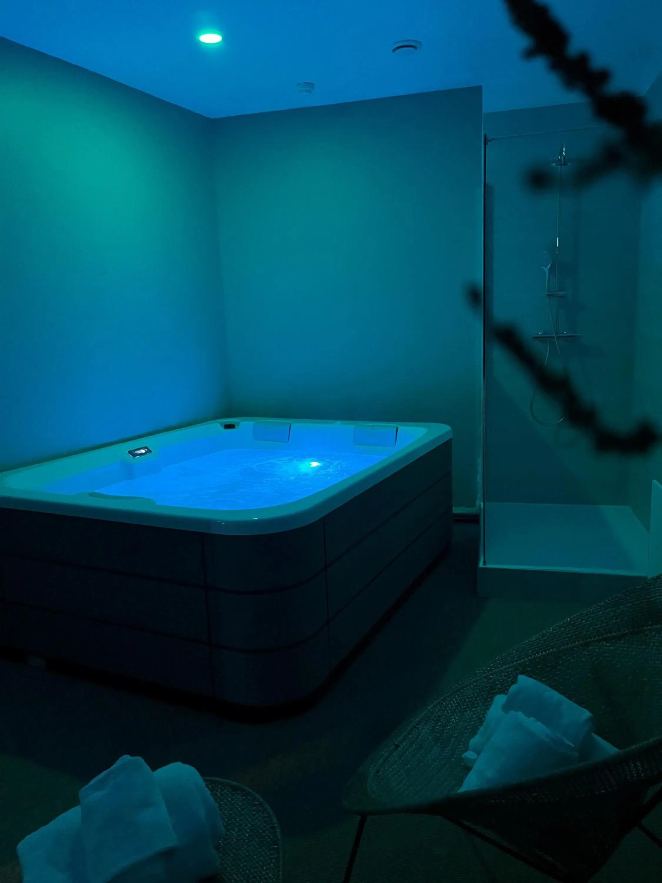 Hot Tub in Best Western L'Aquarium Arras Nord