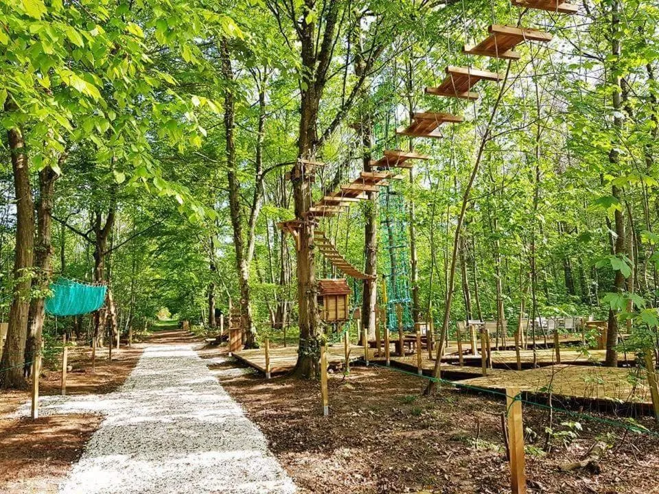 Activities in Demeures de Campagne Parc du Coudray - Barbizon