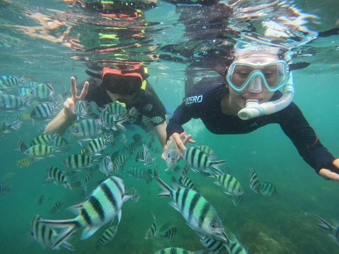 Snorkeling in The Spa Villa Bintan
