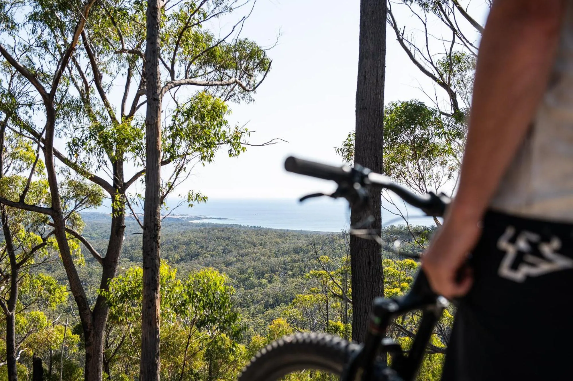 The Surfside Beaumaris