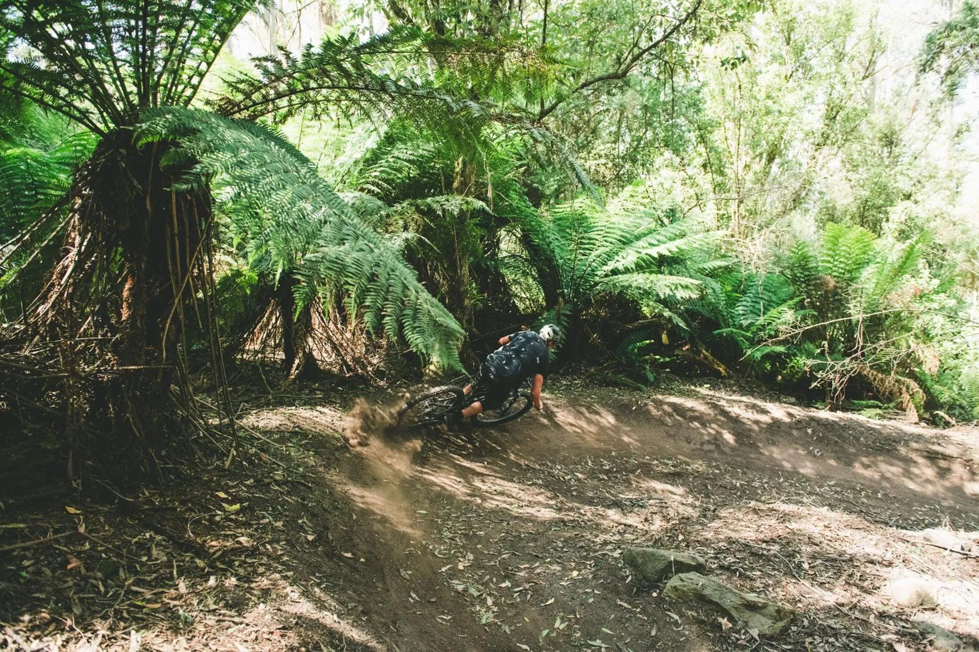 The Surfside Beaumaris