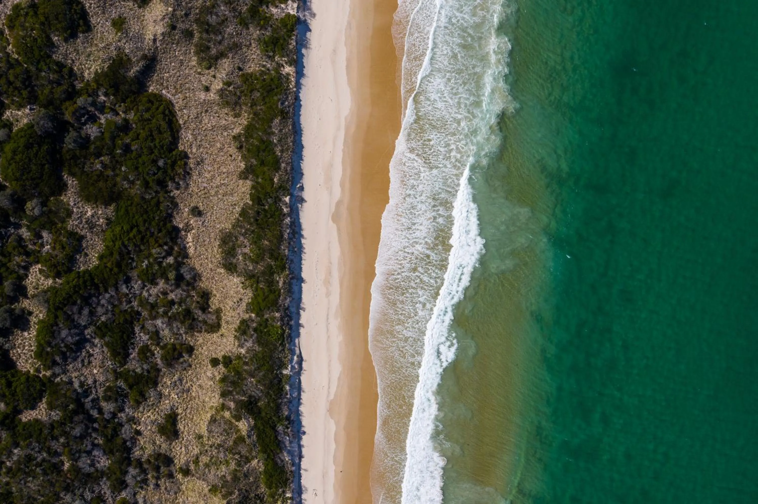 The Surfside Beaumaris