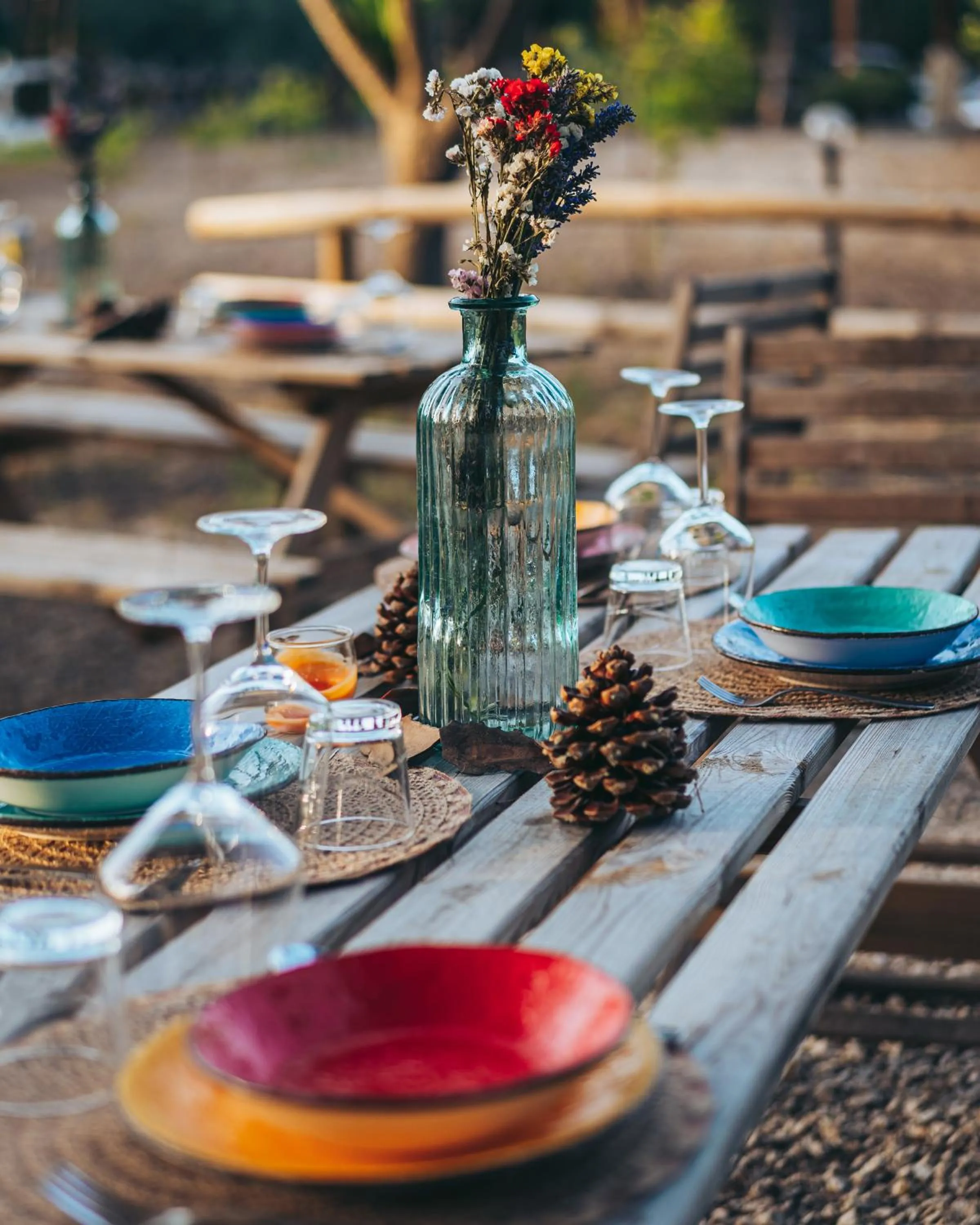 Day in Antica Villa Colonica