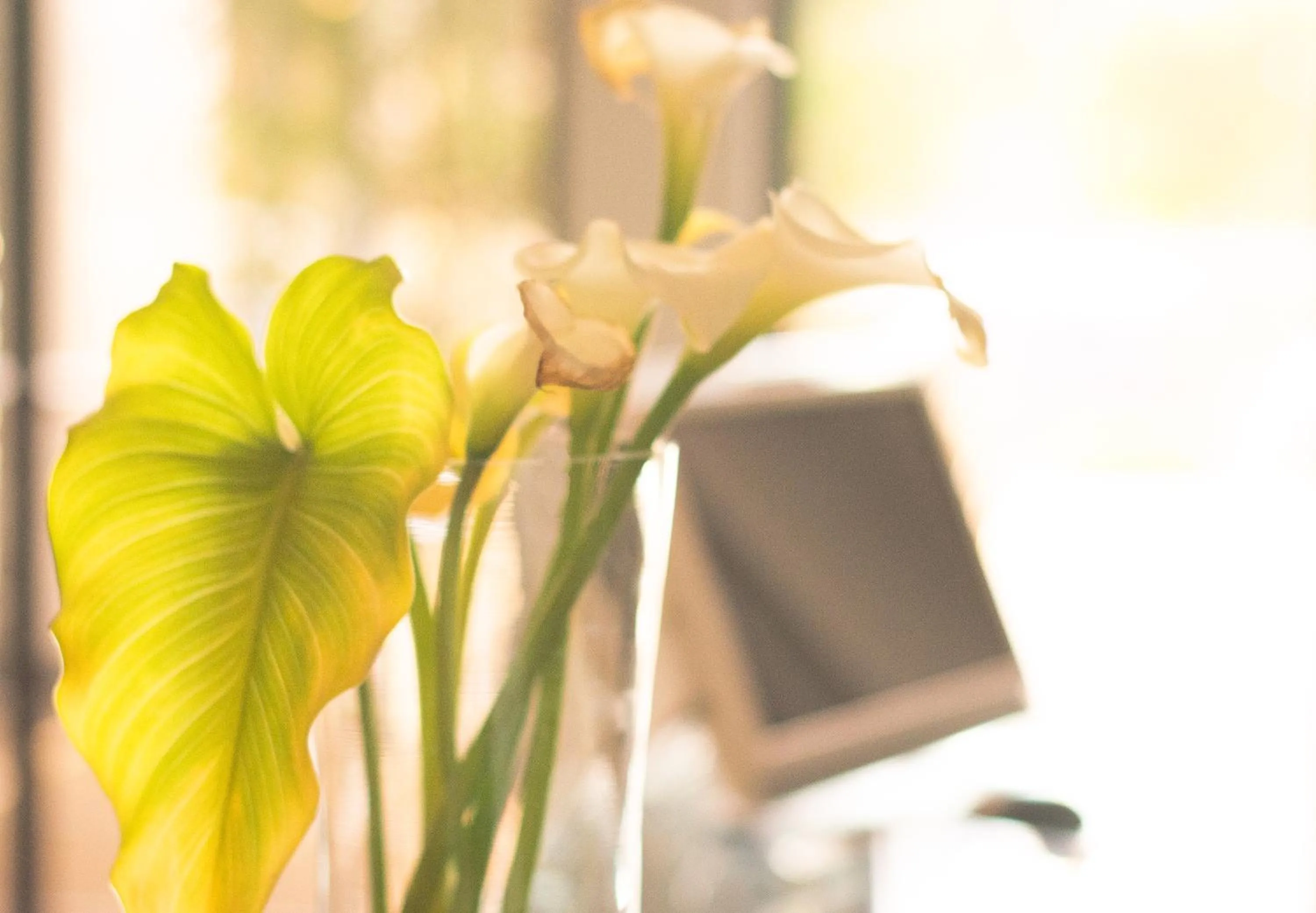 Decorative detail in Blue Diamond Boutique Hotel