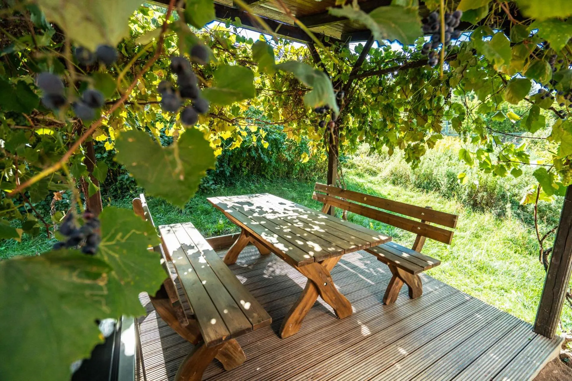 Garden in Winzerhof Küssler - Weinviertel