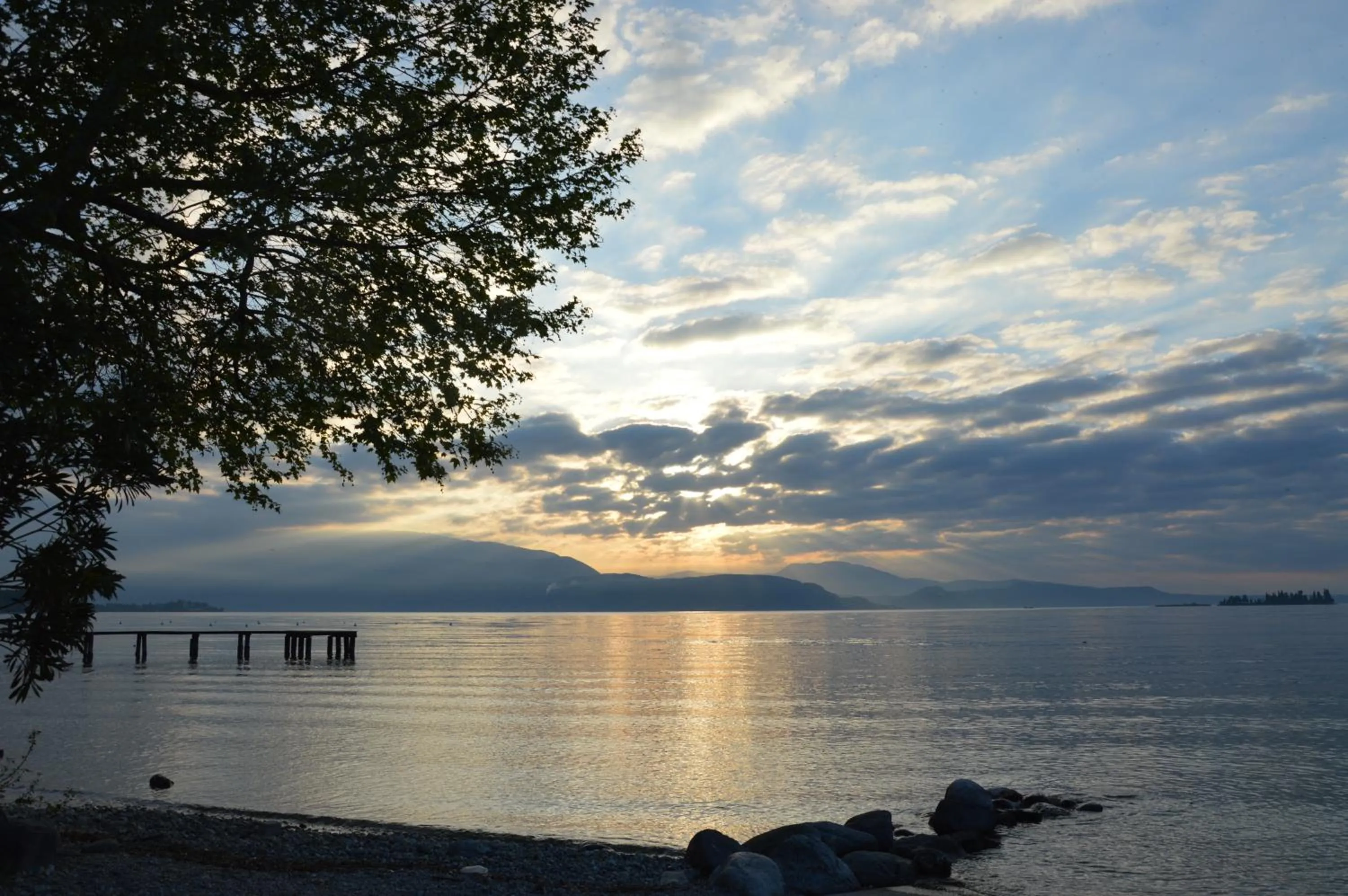 Natural landscape in Campeggio Europa Silvella