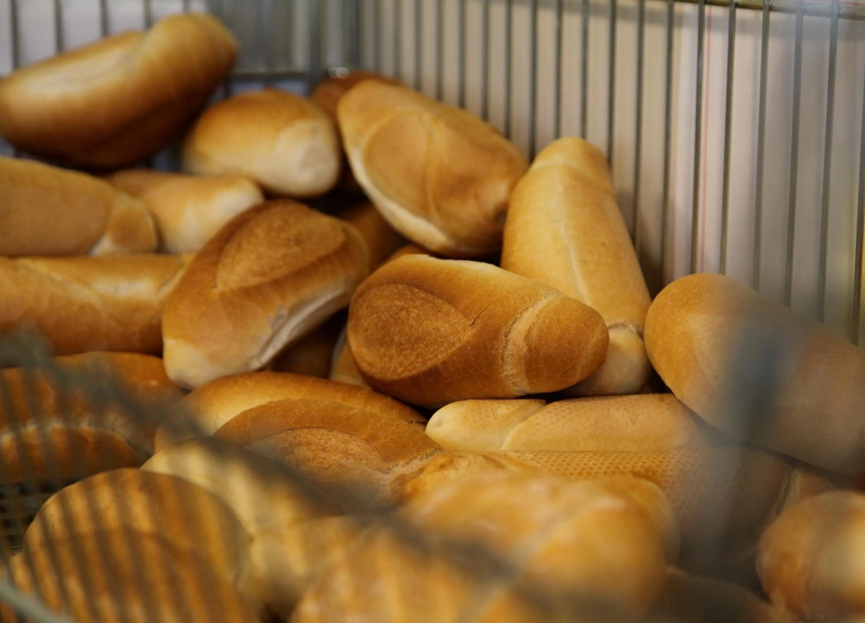 Breakfast in Campeggio Europa Silvella