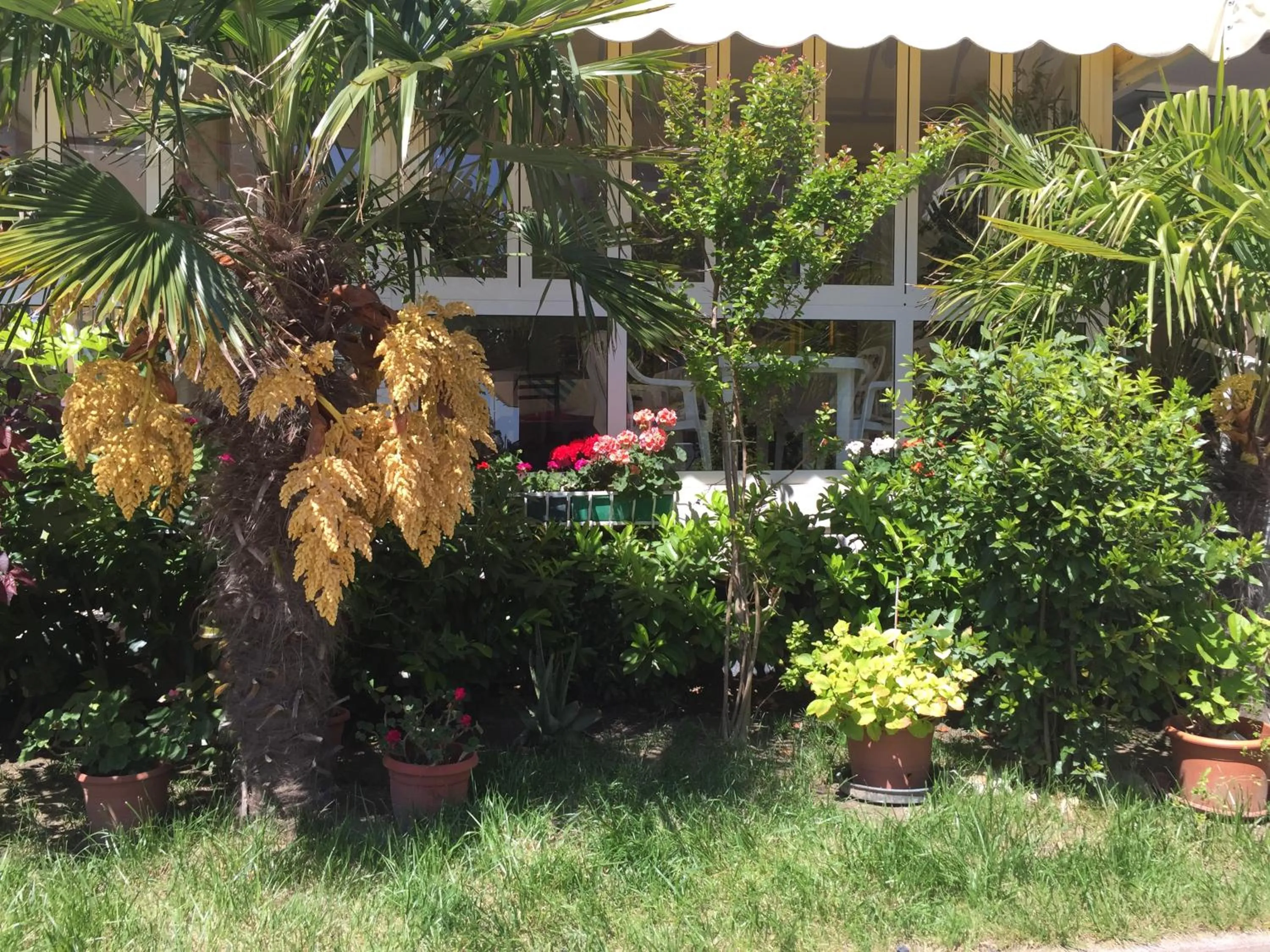 Garden in Hotel Halifax