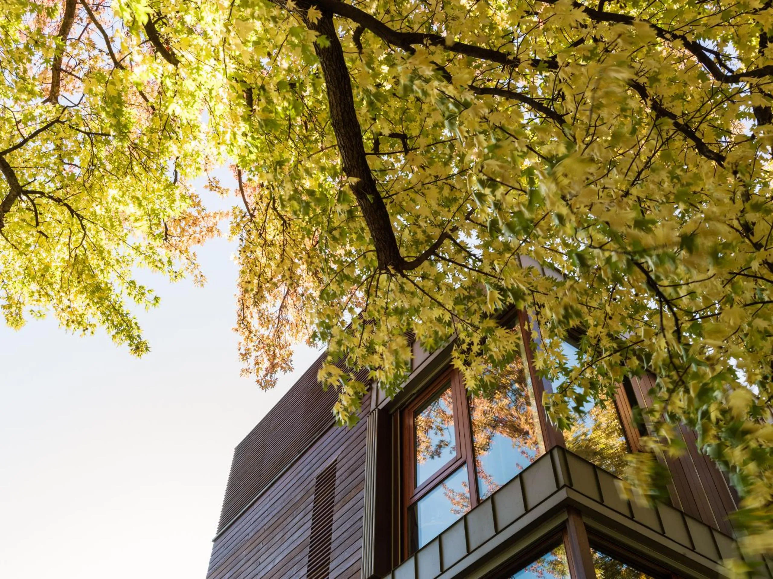 Property building in Casa Sull'Albero