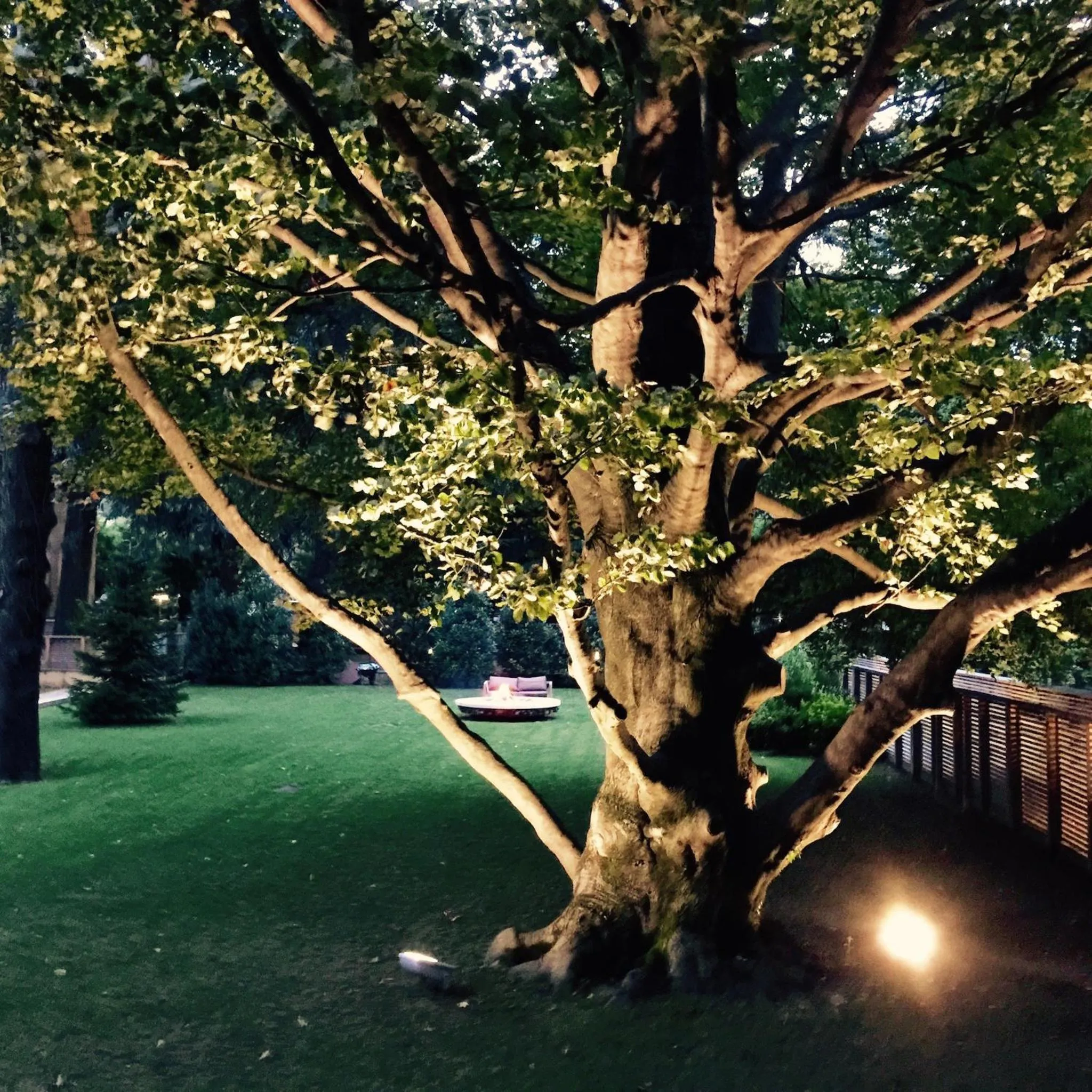 Garden in Casa Sull'Albero