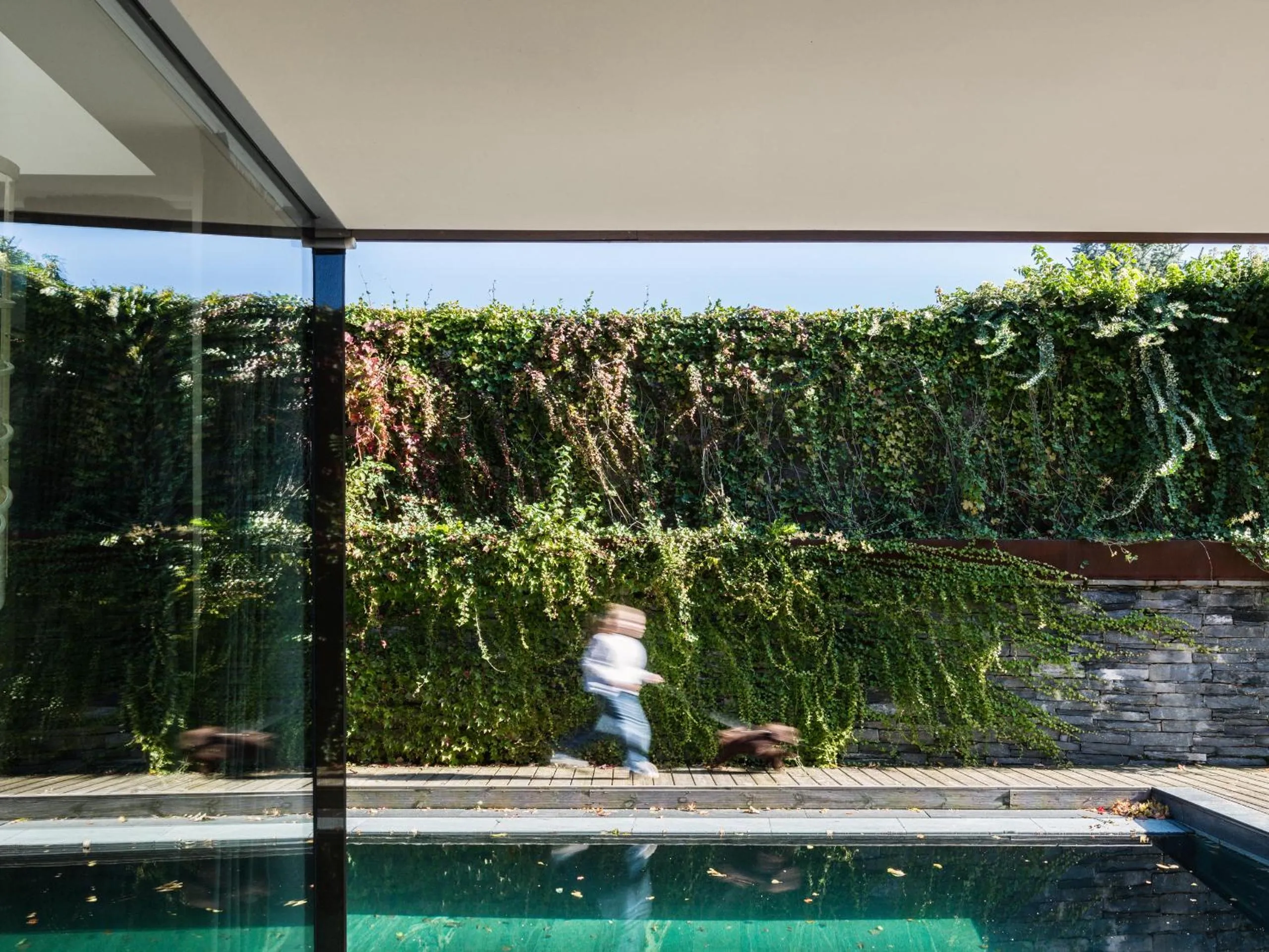 Day in Casa Sull'Albero