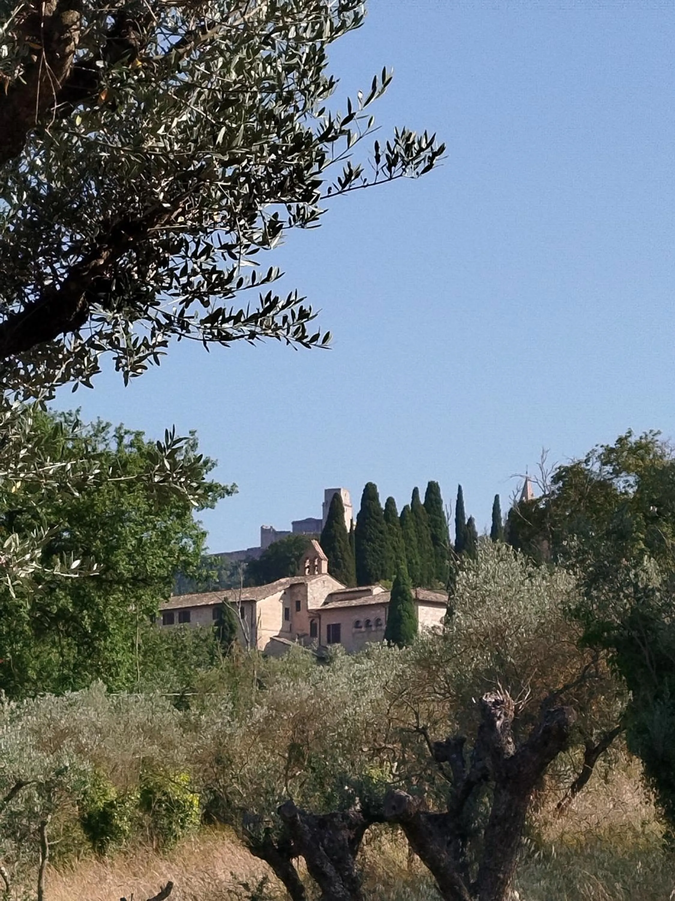 View (from property/room) in All'Ombra di San Damiano
