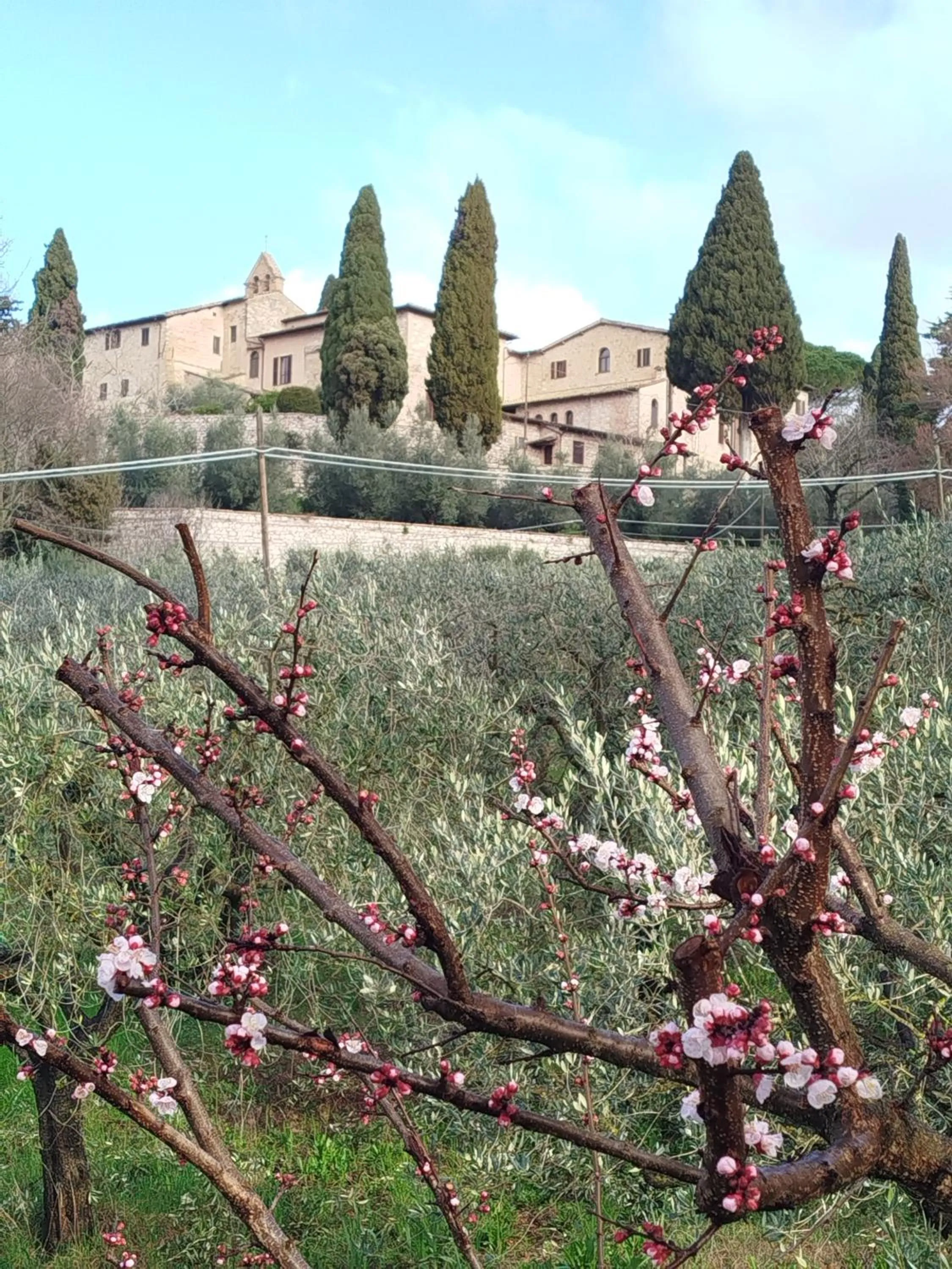 Nearby landmark in All'Ombra di San Damiano