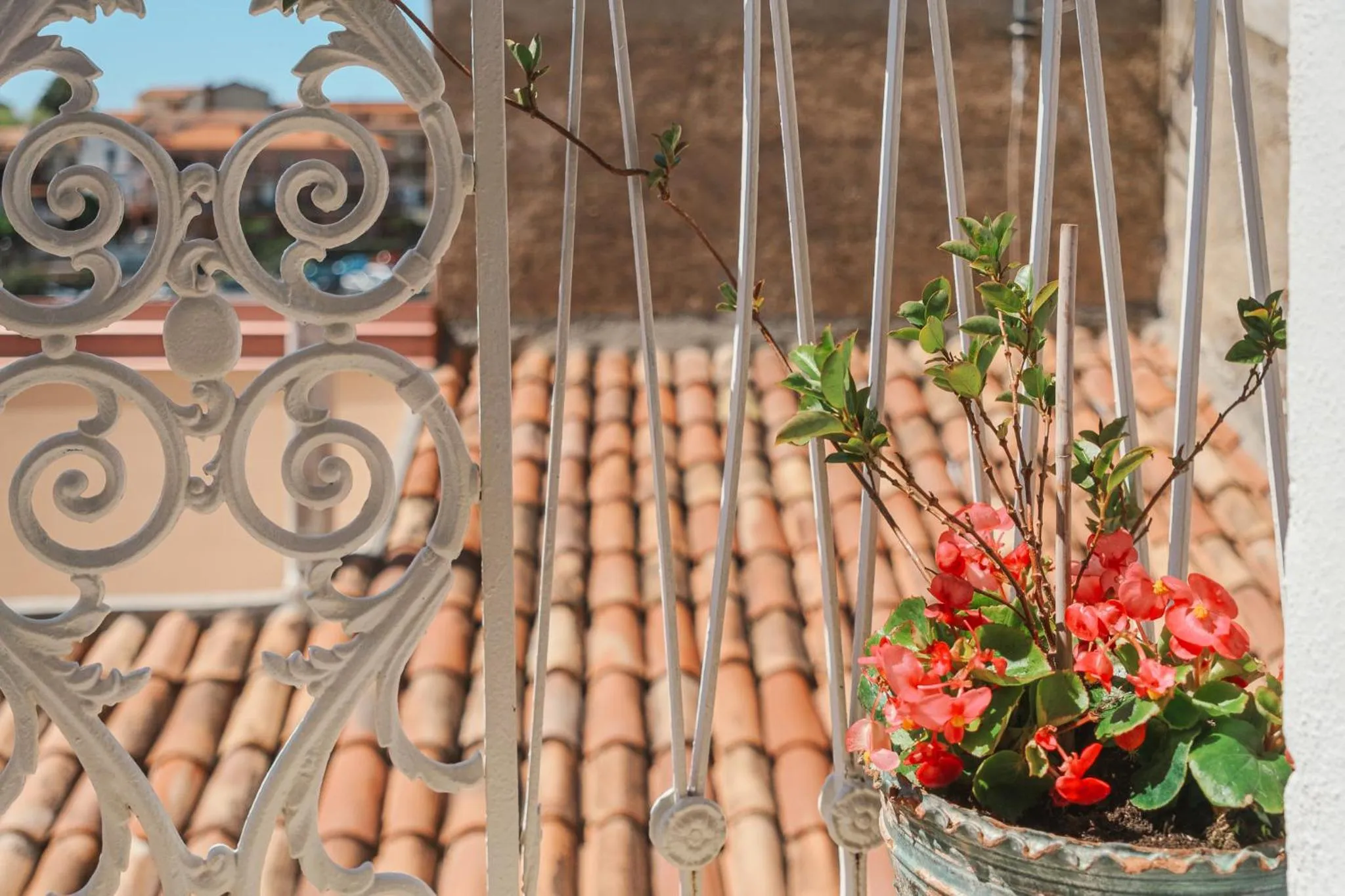 Garden view in La casa nel borgo