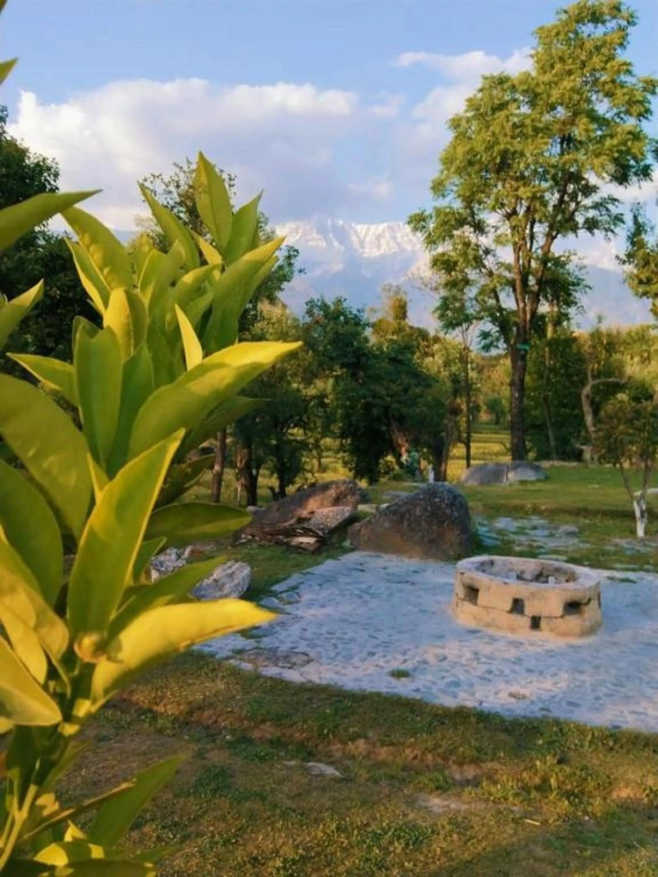 Garden in Dev Bhoomi Farms & Cottages