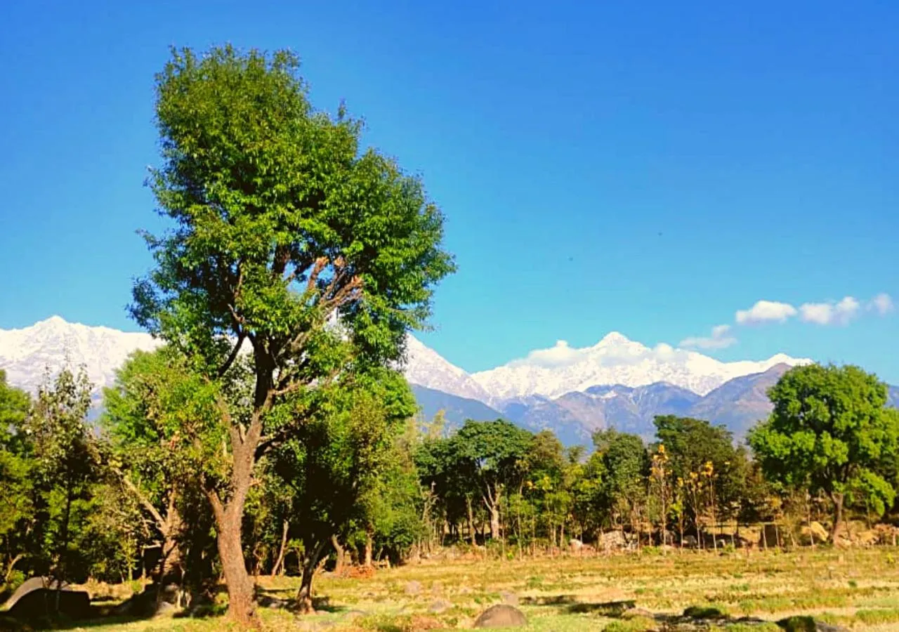 Mountain view in Dev Bhoomi Farms & Cottages