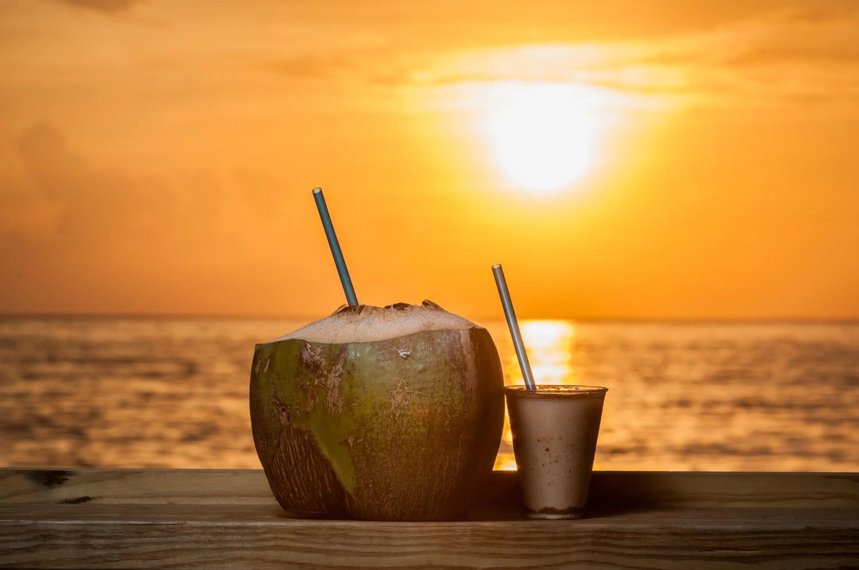 Lounge or bar in Villa Cofresi