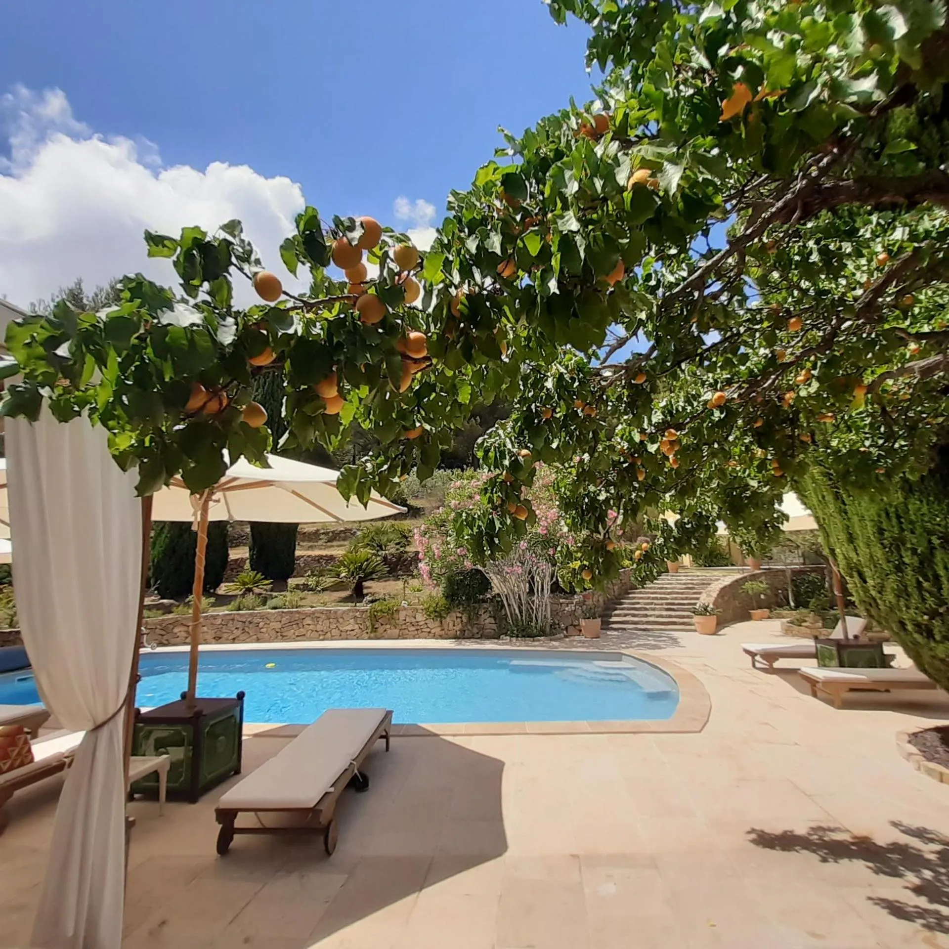 Pool view in Mas Lei Bancau