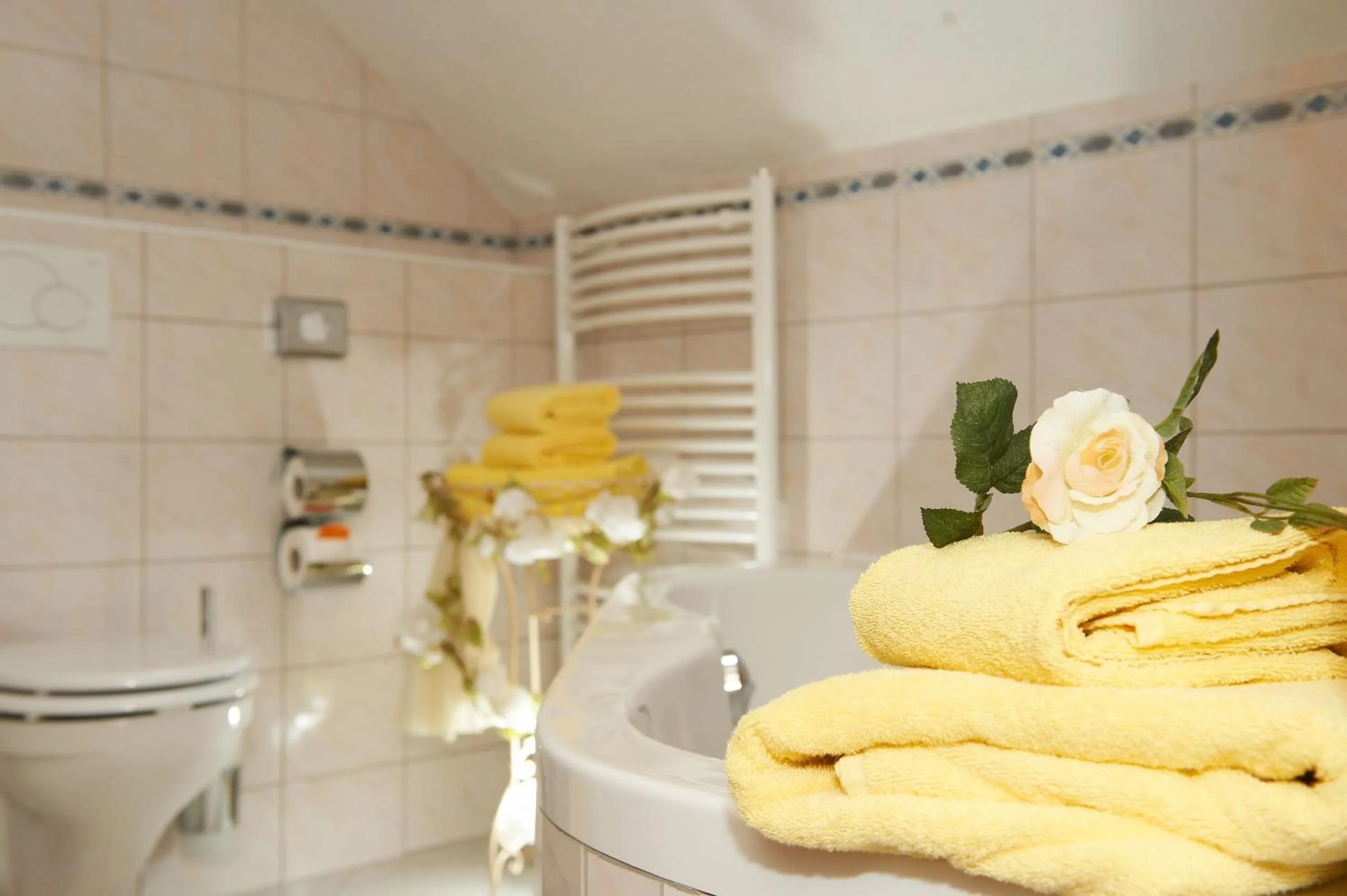 Bathroom in Hotel Wendelstein