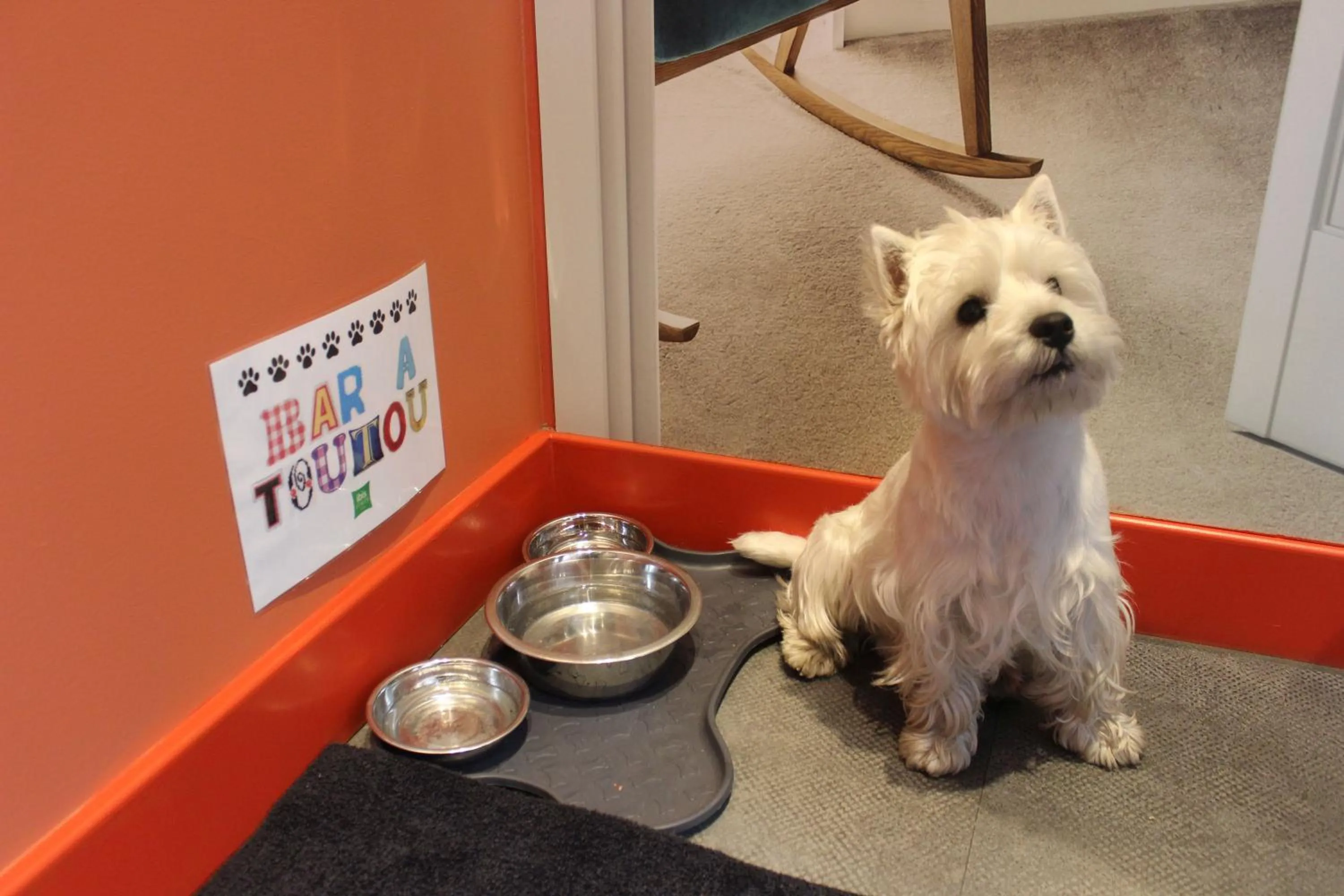 pet friendly in ibis Styles Lille Centre Grand Place