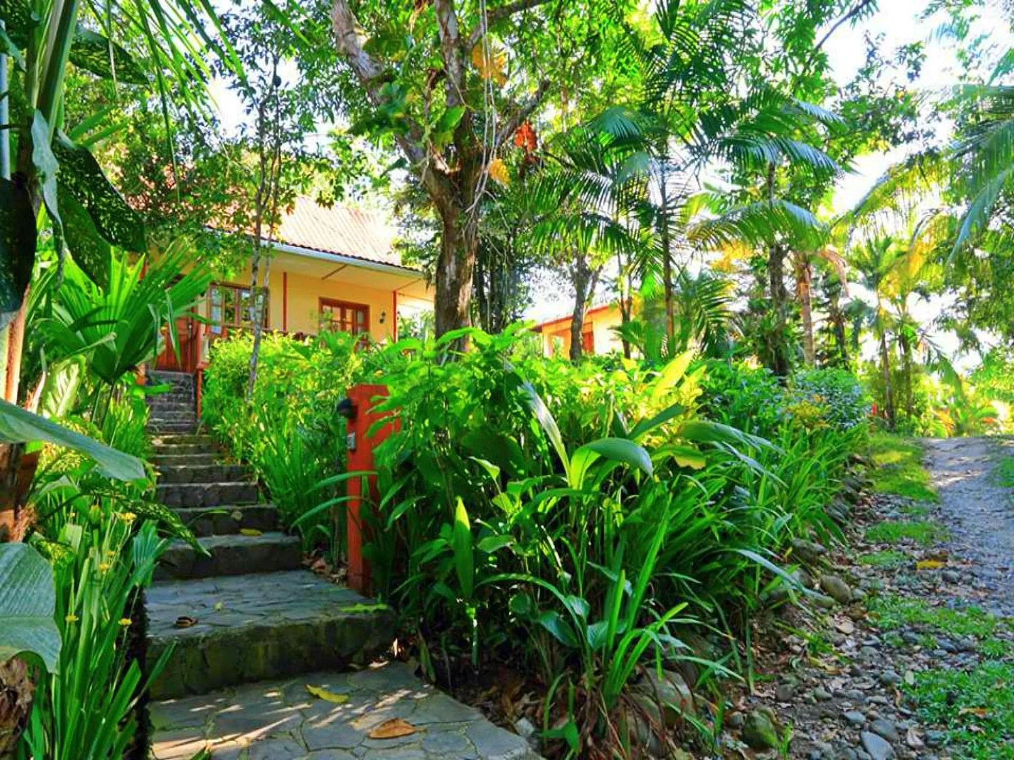 Garden in Hotel Tres Banderas