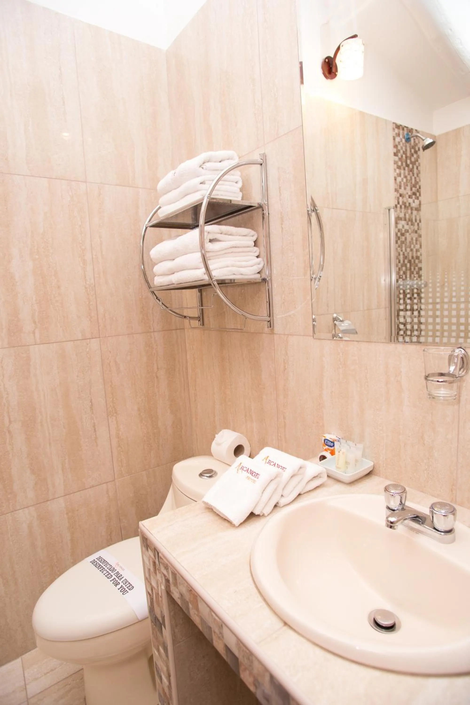 Shower in Hotel Arcangel