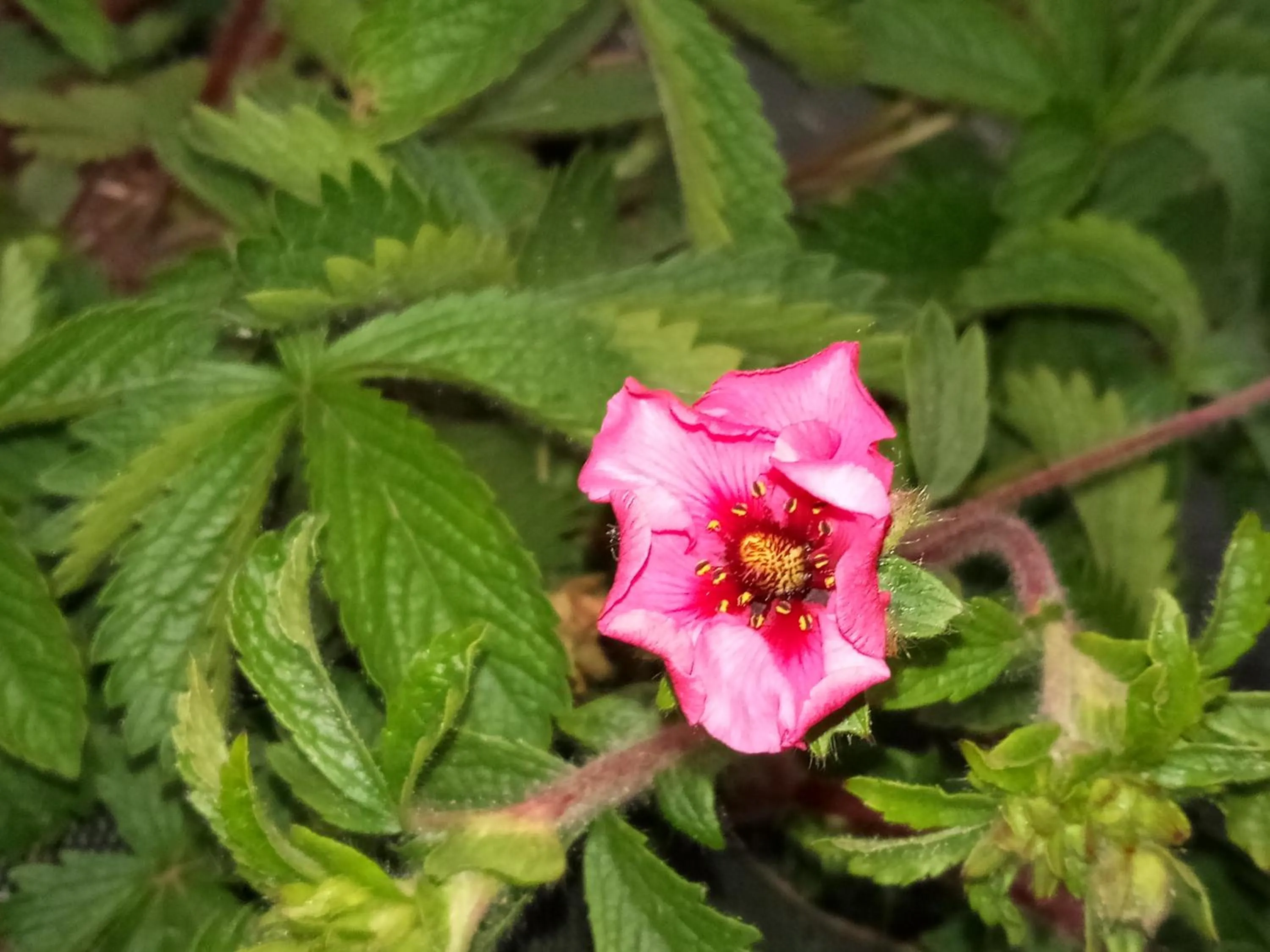 Property building in La Closerie de Sens