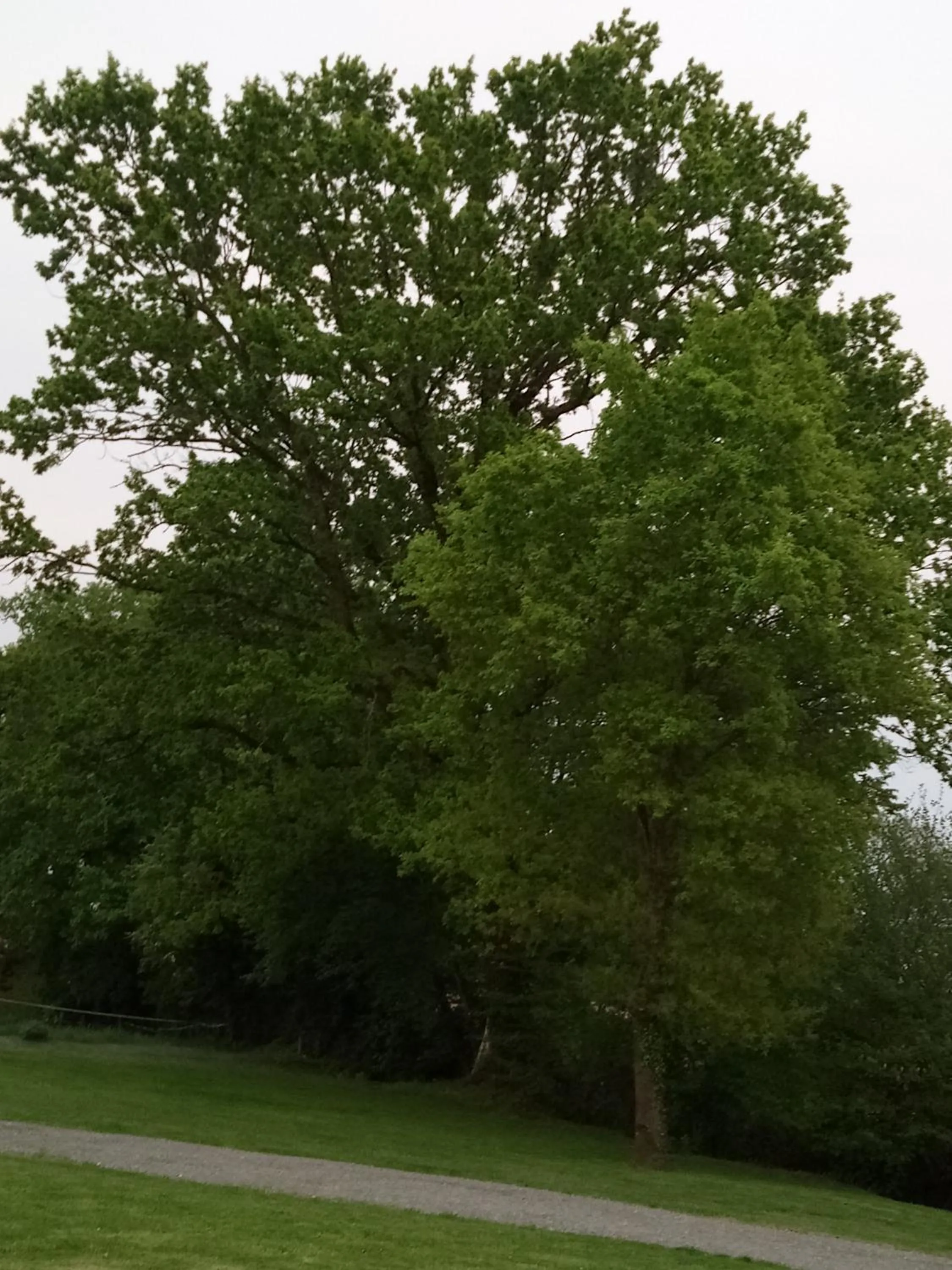 Property building in La Closerie de Sens