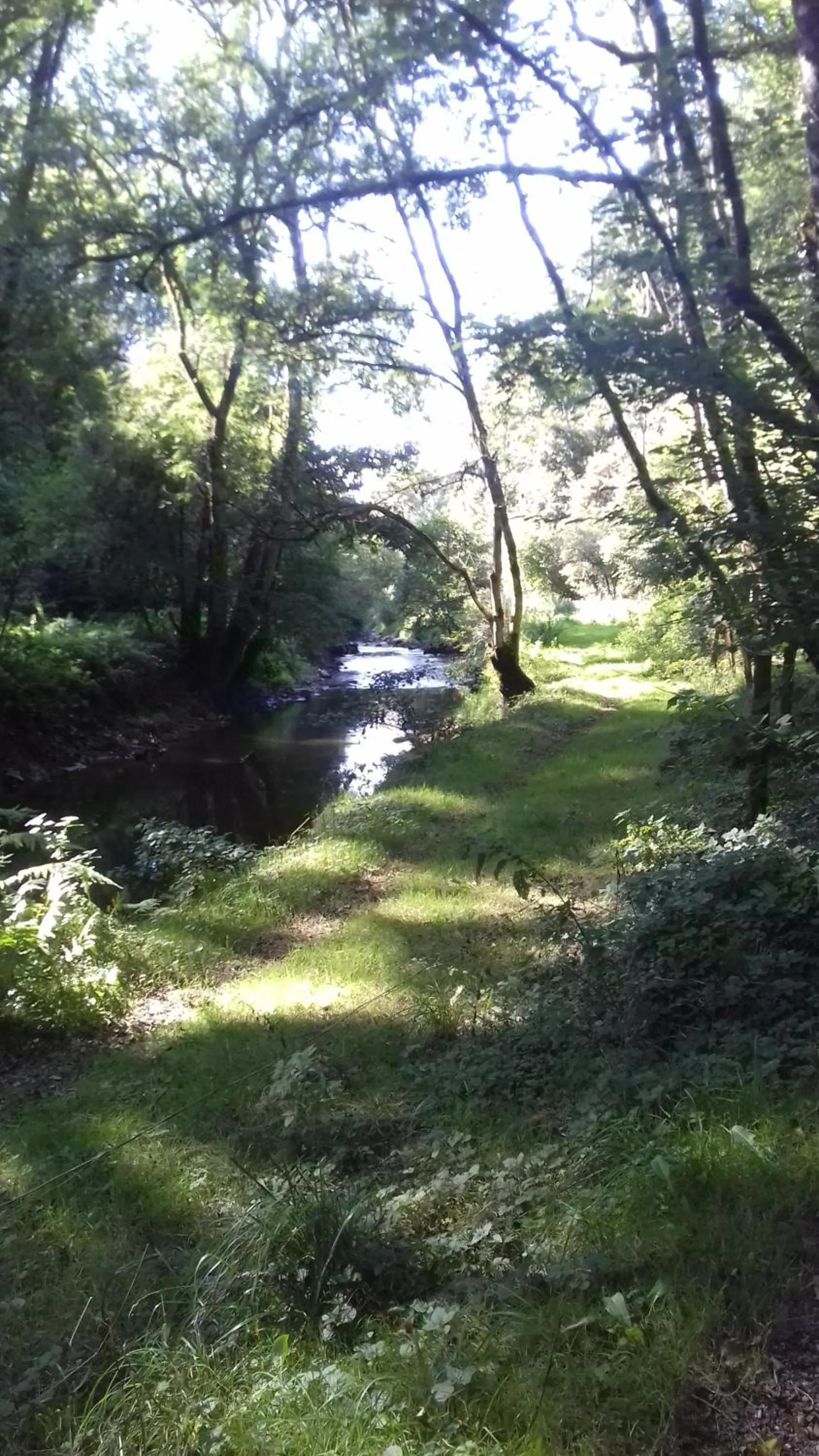 Activities in La Closerie de Sens