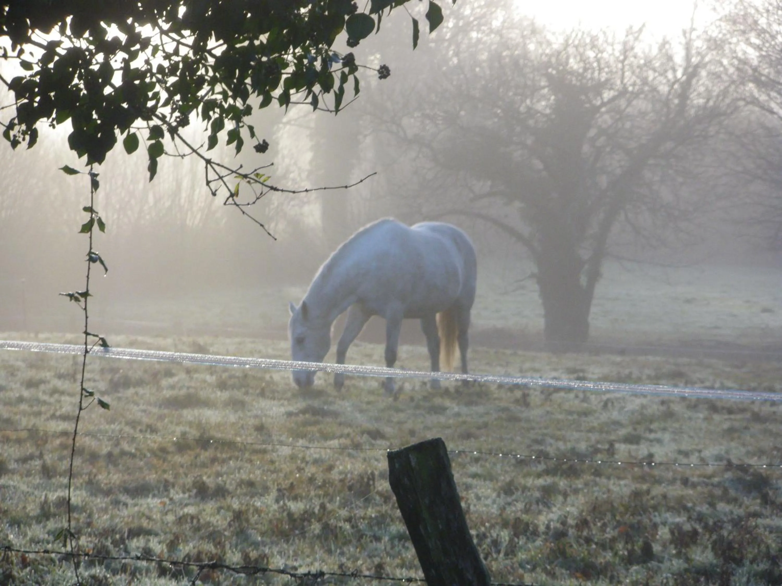 Property building in La Closerie de Sens