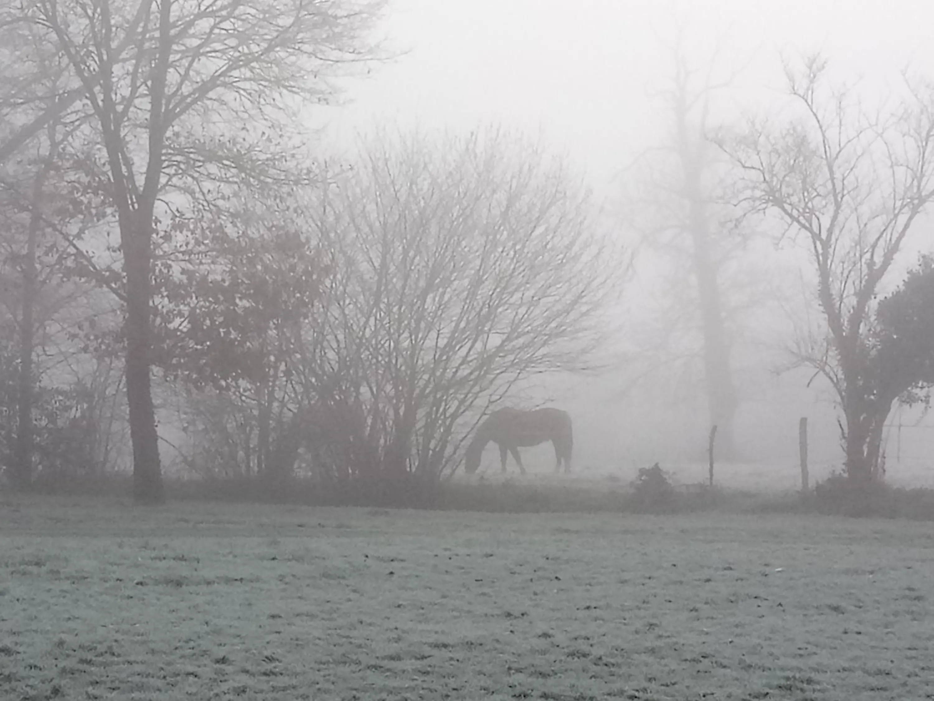 Property building in La Closerie de Sens