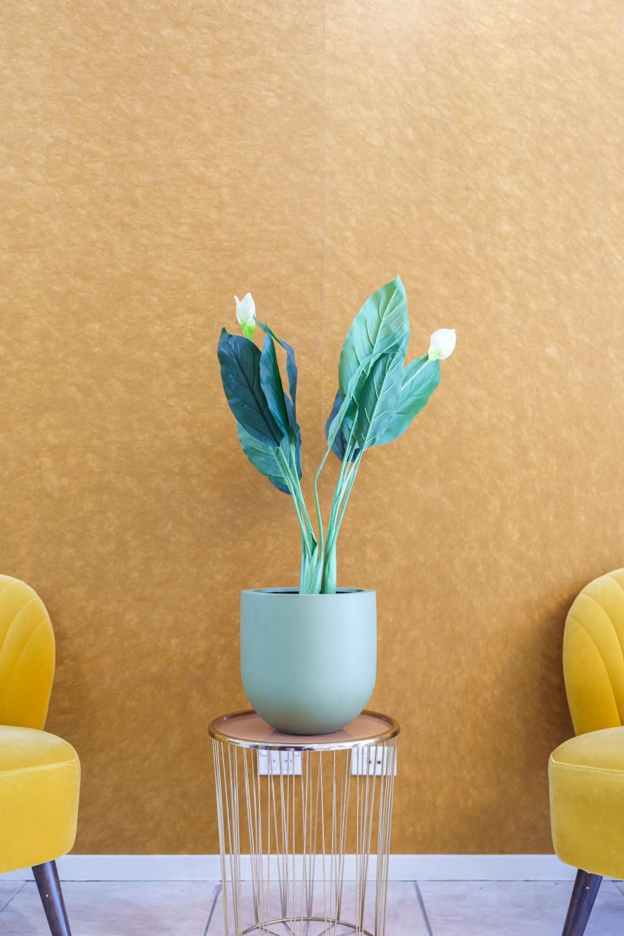 Decorative detail in Ibis Styles Invercargill